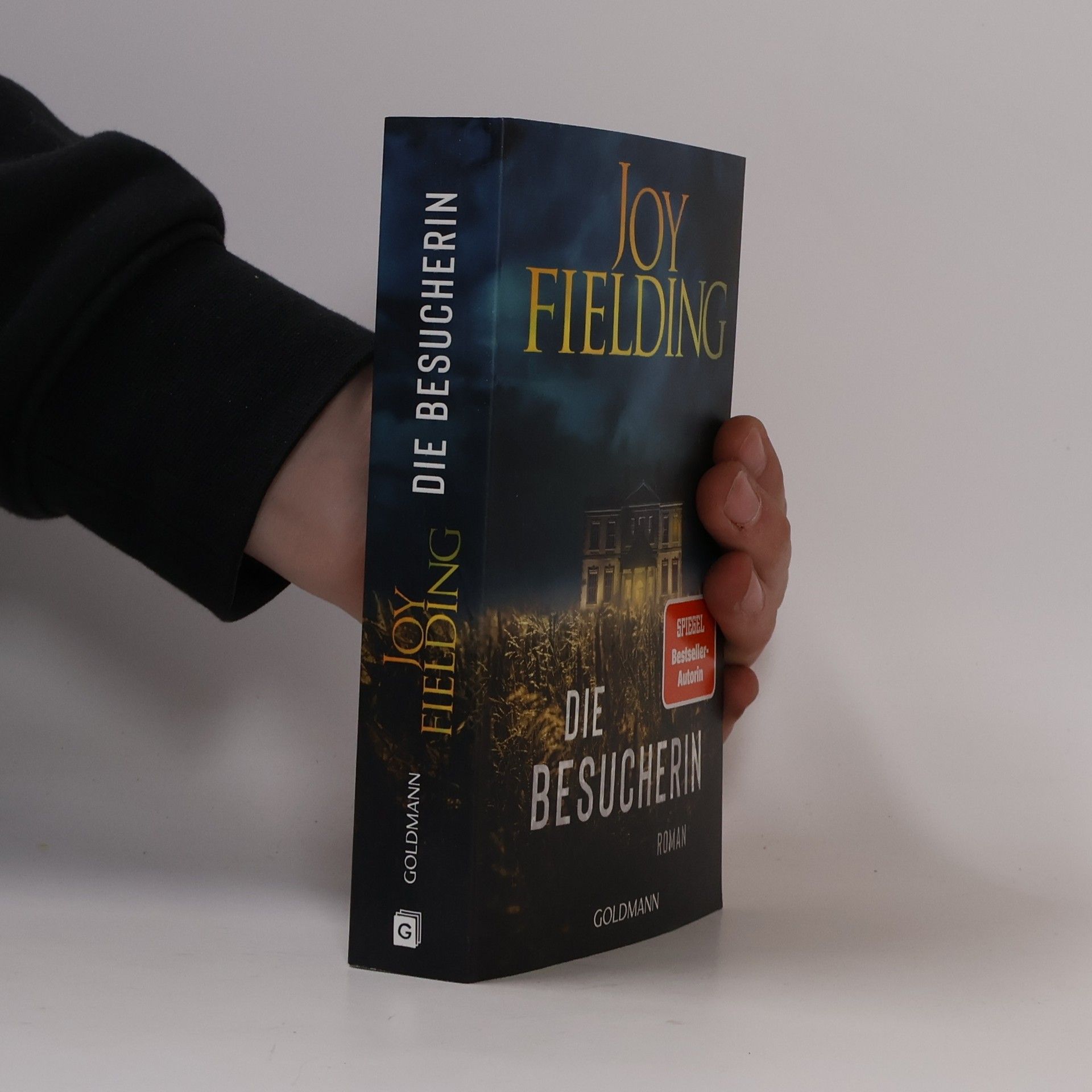 Joy Fielding Die Besucherin