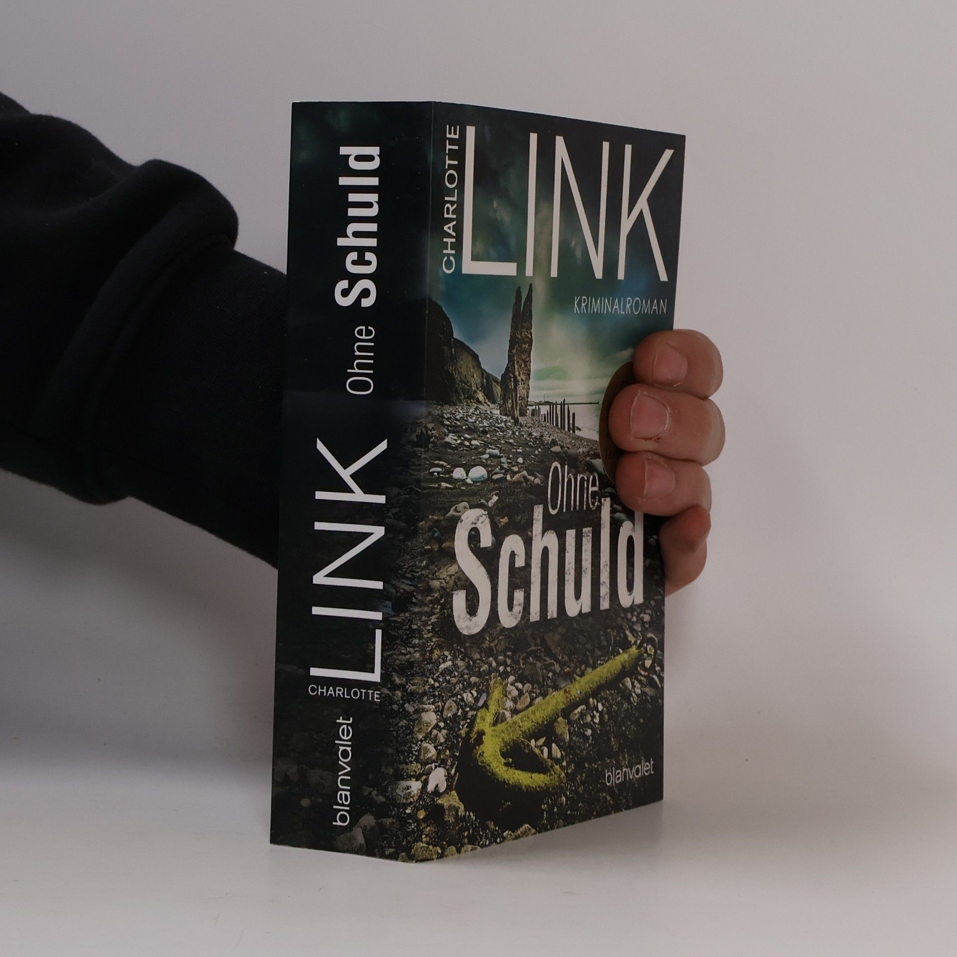 Charlotte Link Ohne Schuld