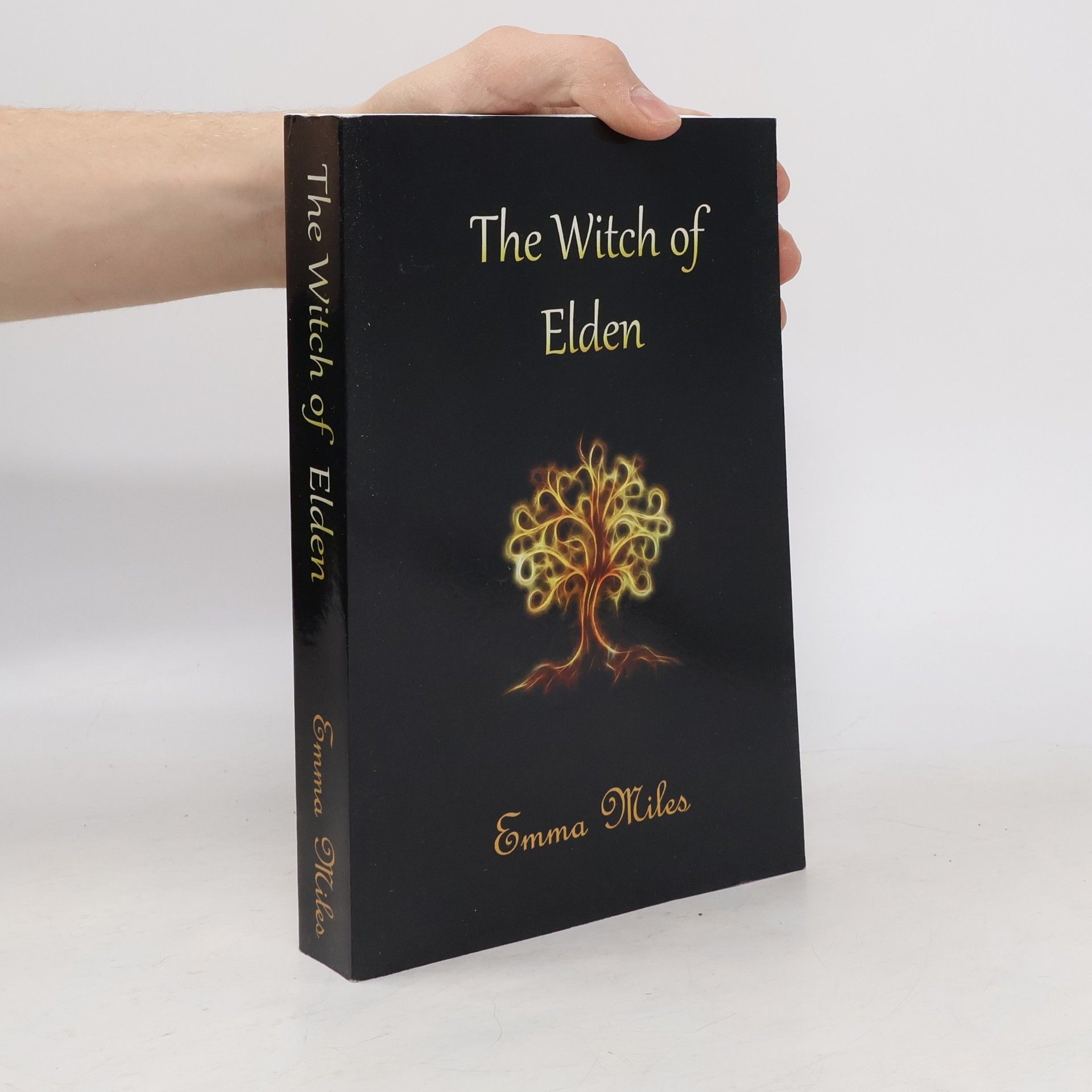 Land Beneath the Sky - Companion Books to the Fire-Walker Saga - 4: The Witch of Elden