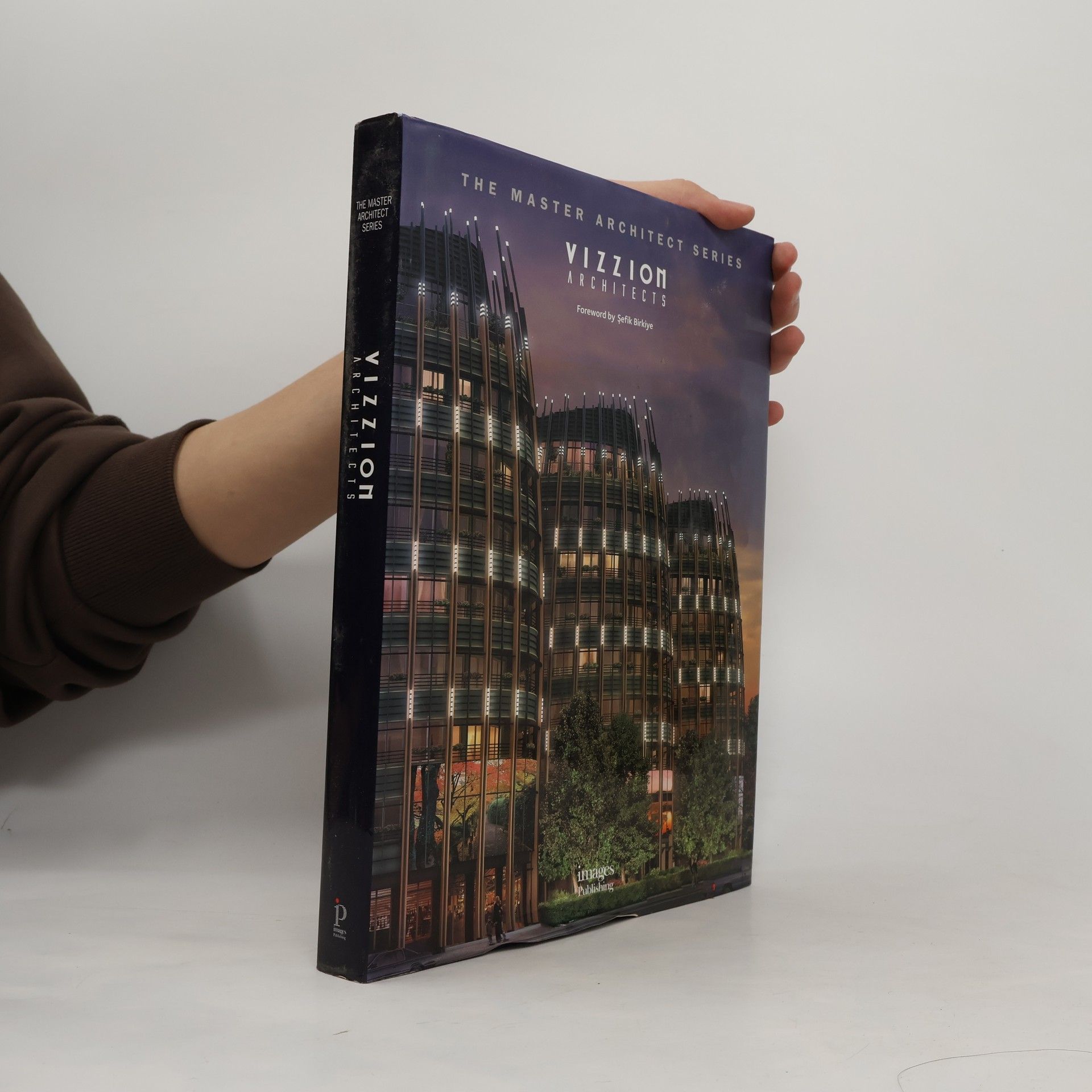 Georges Binder The Master Architect Series: Vizzion Architects