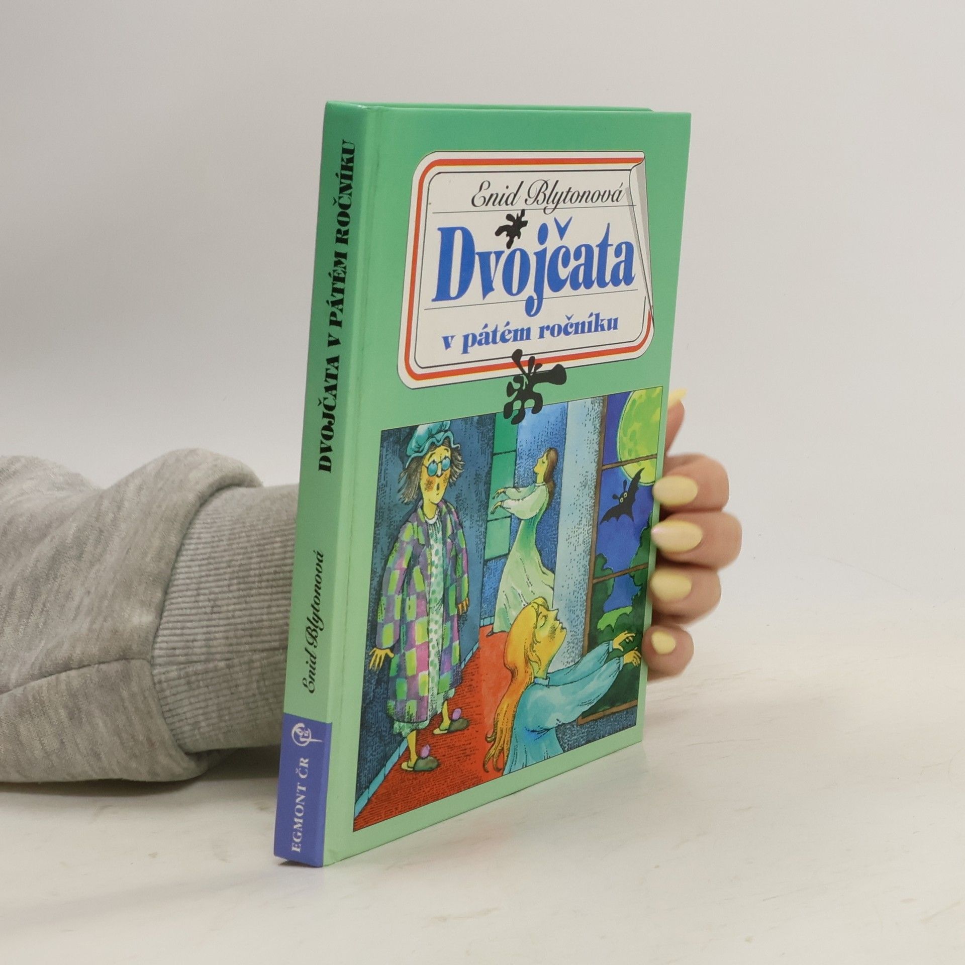 Enid Blyton Dvojčata v pátém ročníku