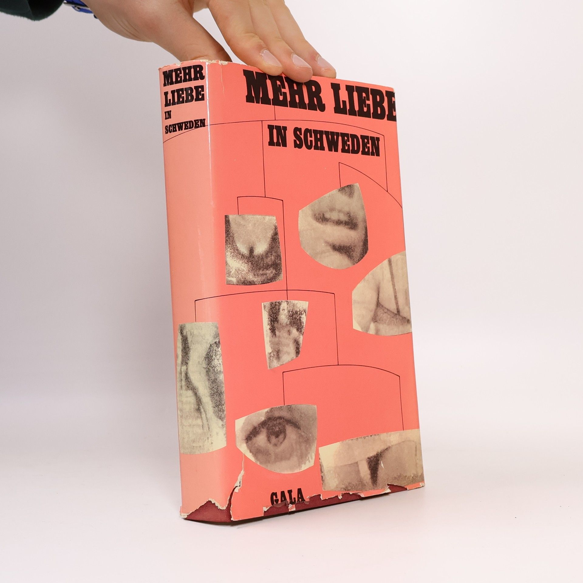 Autorenkollektiv Mehr Liebe in Schweden