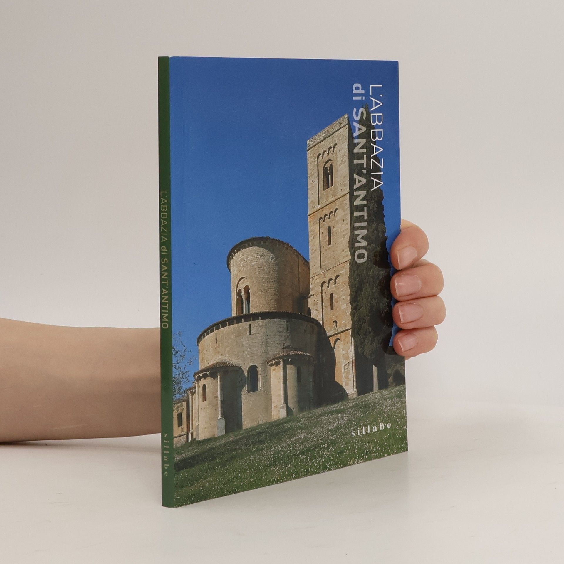 Luca Luchini L'abbazia di Sant'Antimo. Ediz. a colori