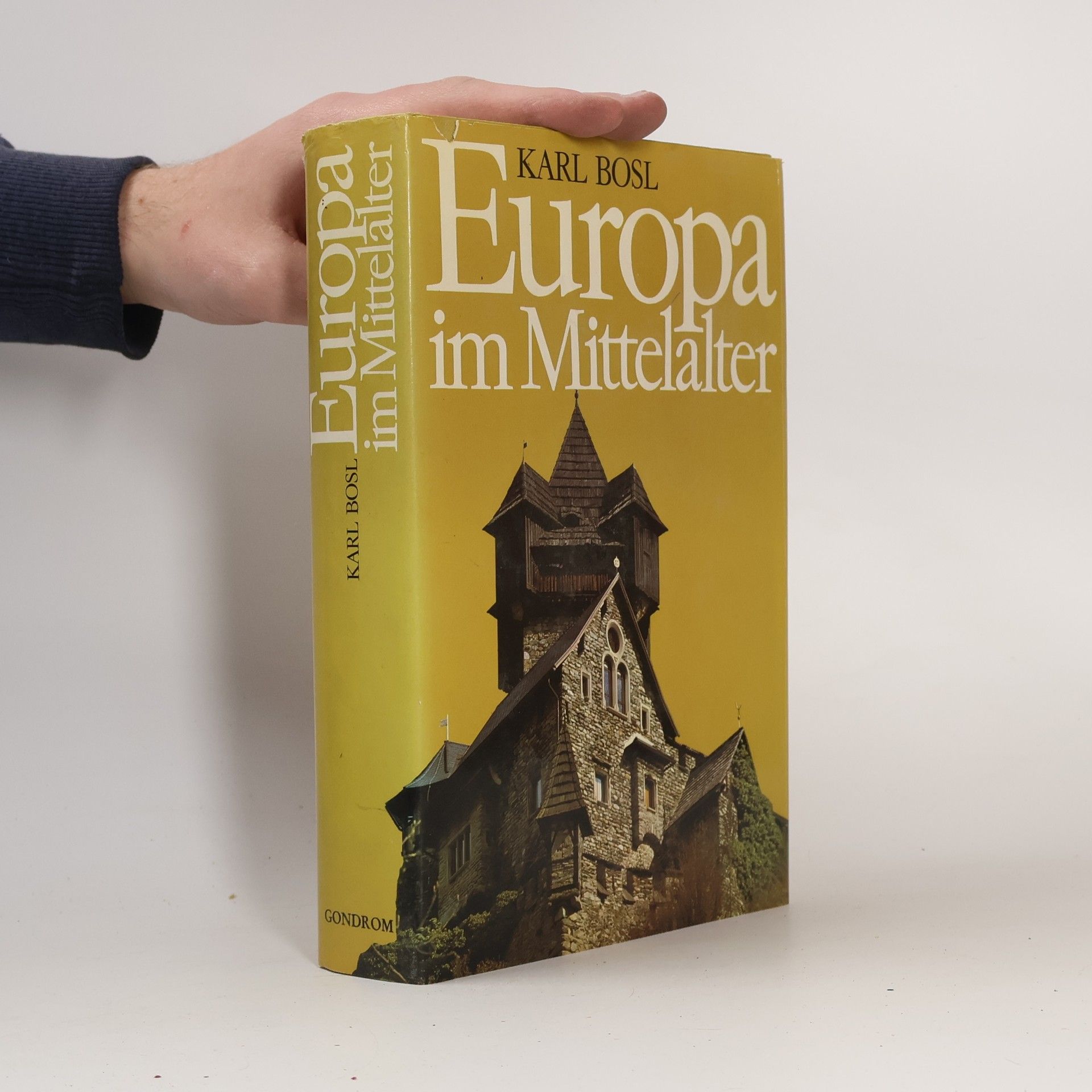 Karl Bosl Europa im Mittelalter