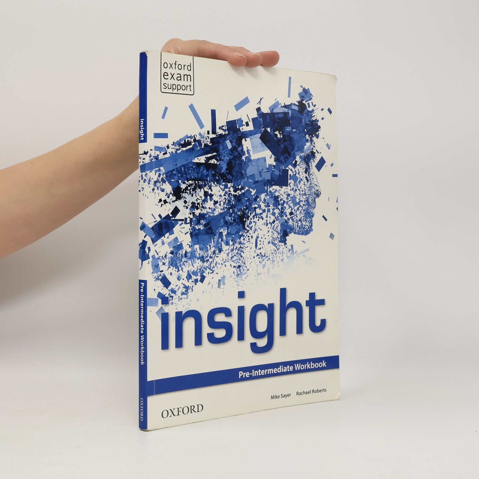 Mike Sayer Insight : Pre-intermediate Workbook