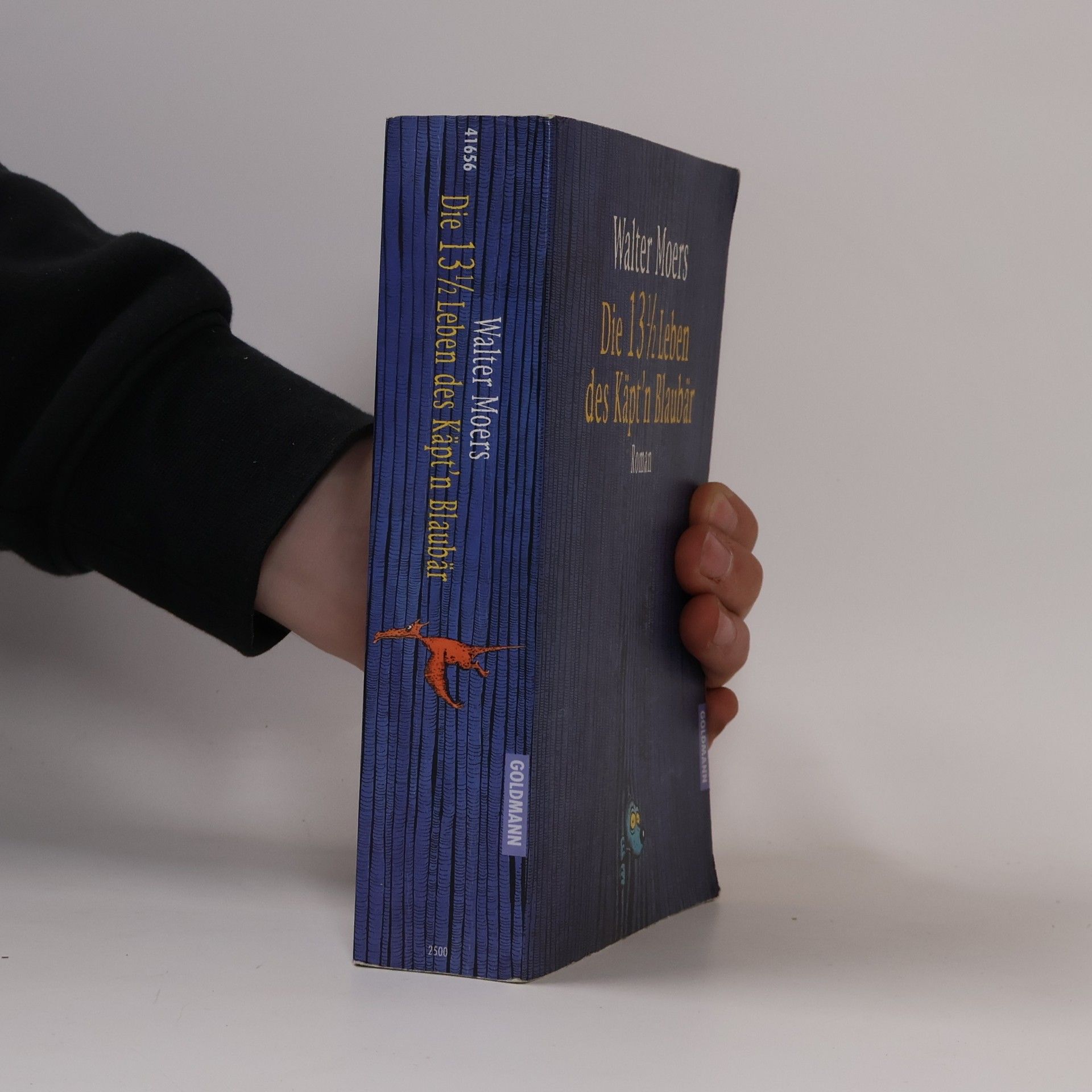 Walter Moers Die 13 1/2 Leben des Käpt’n Blaubär