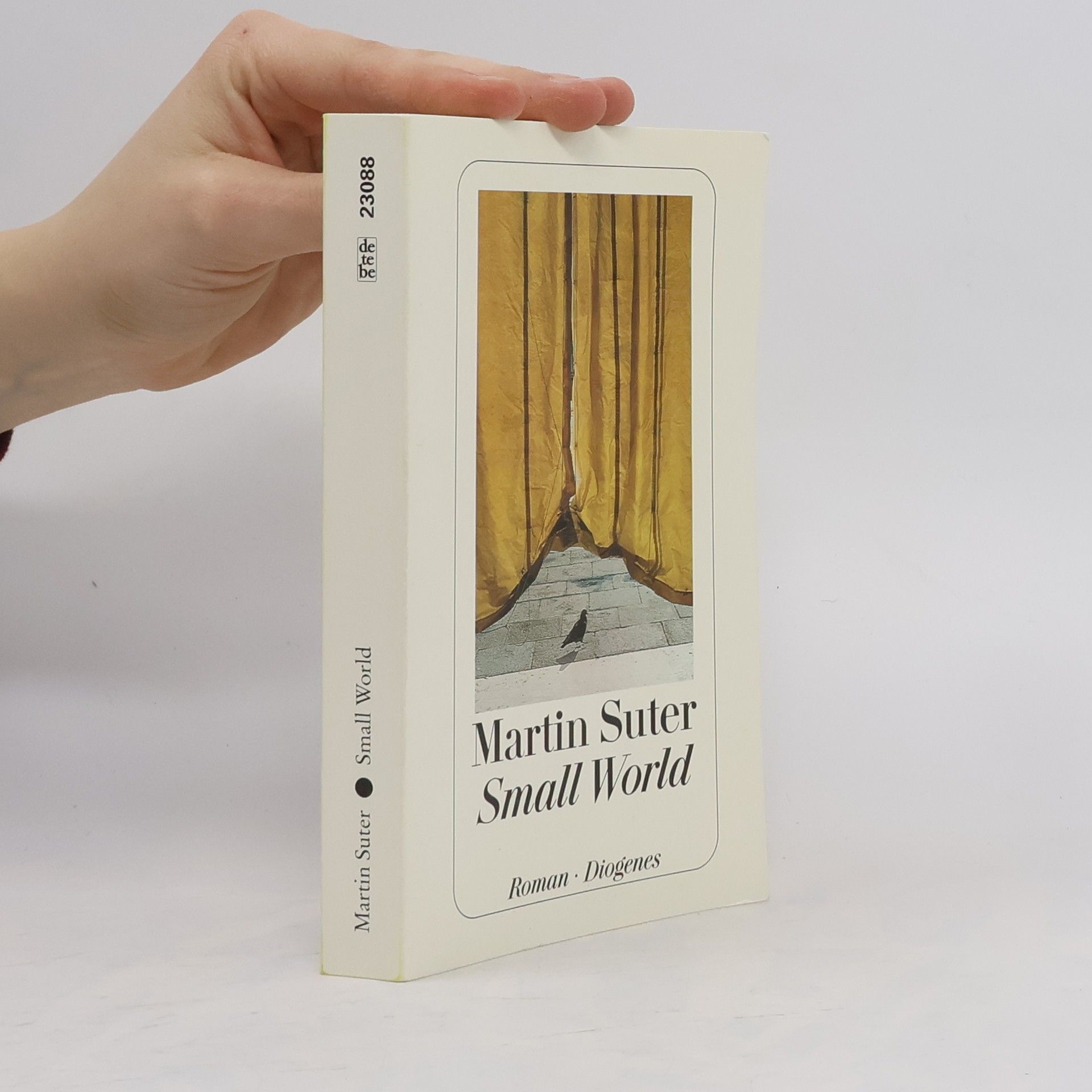 Martin Suter Small World