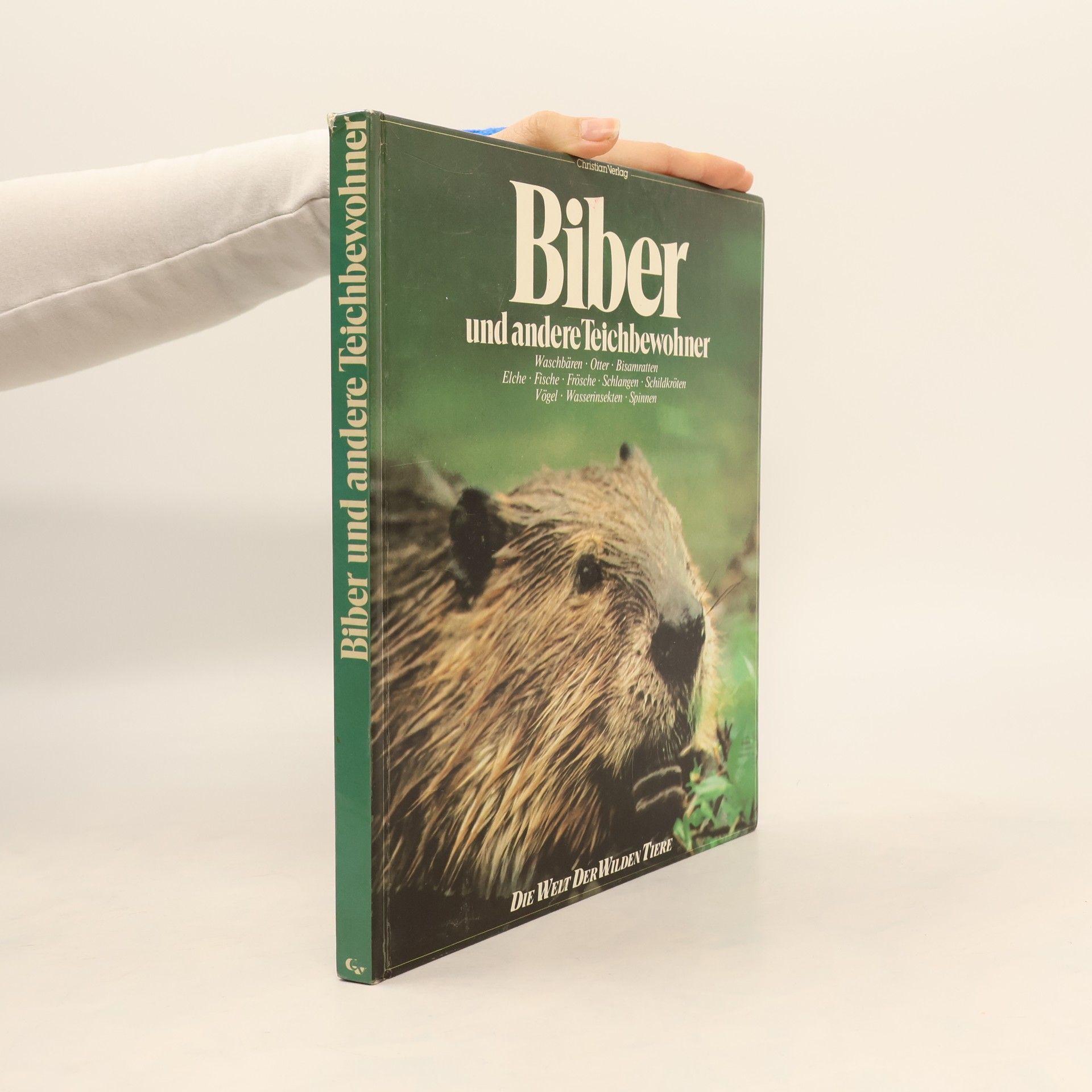 Biber und andere Teichbewohner