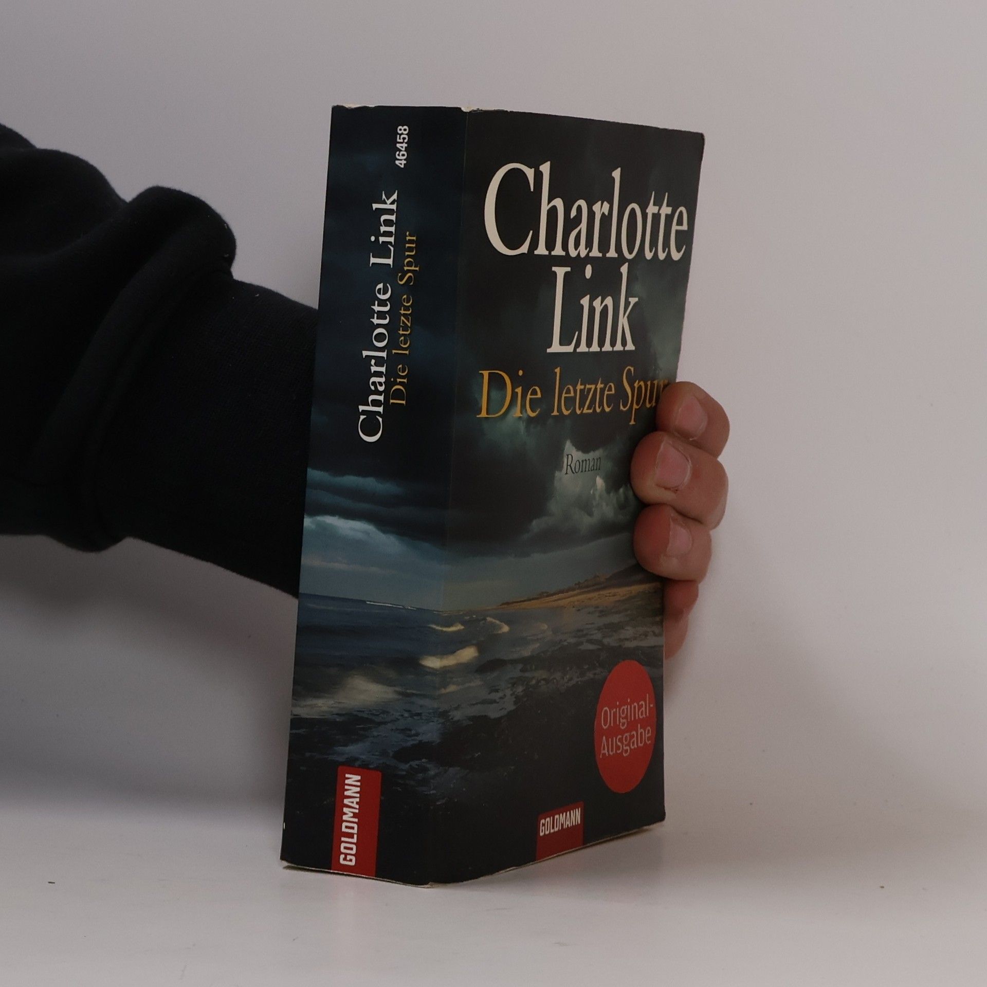 Charlotte Link Die letzte Spur