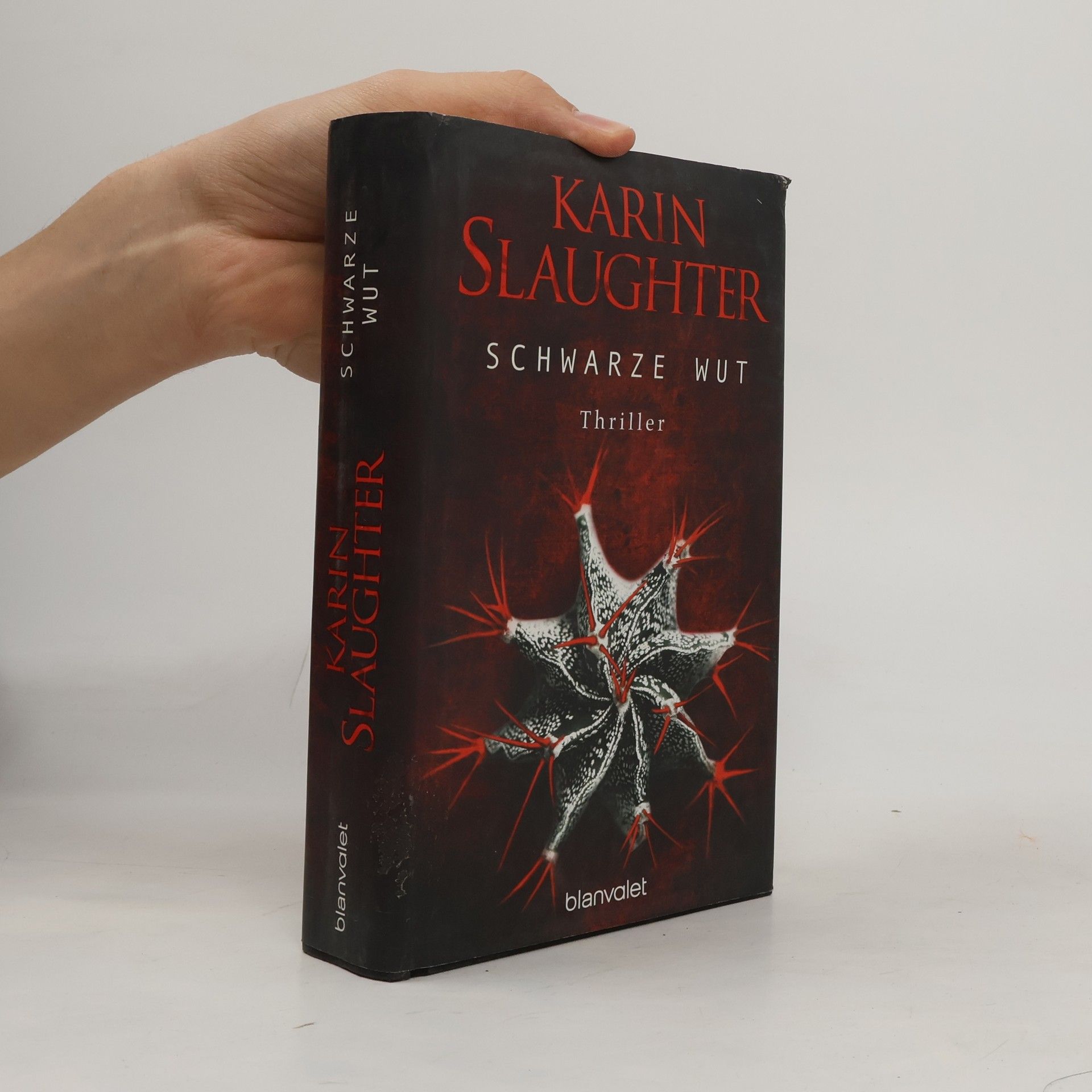 Karin Slaughter Schwarze Wut