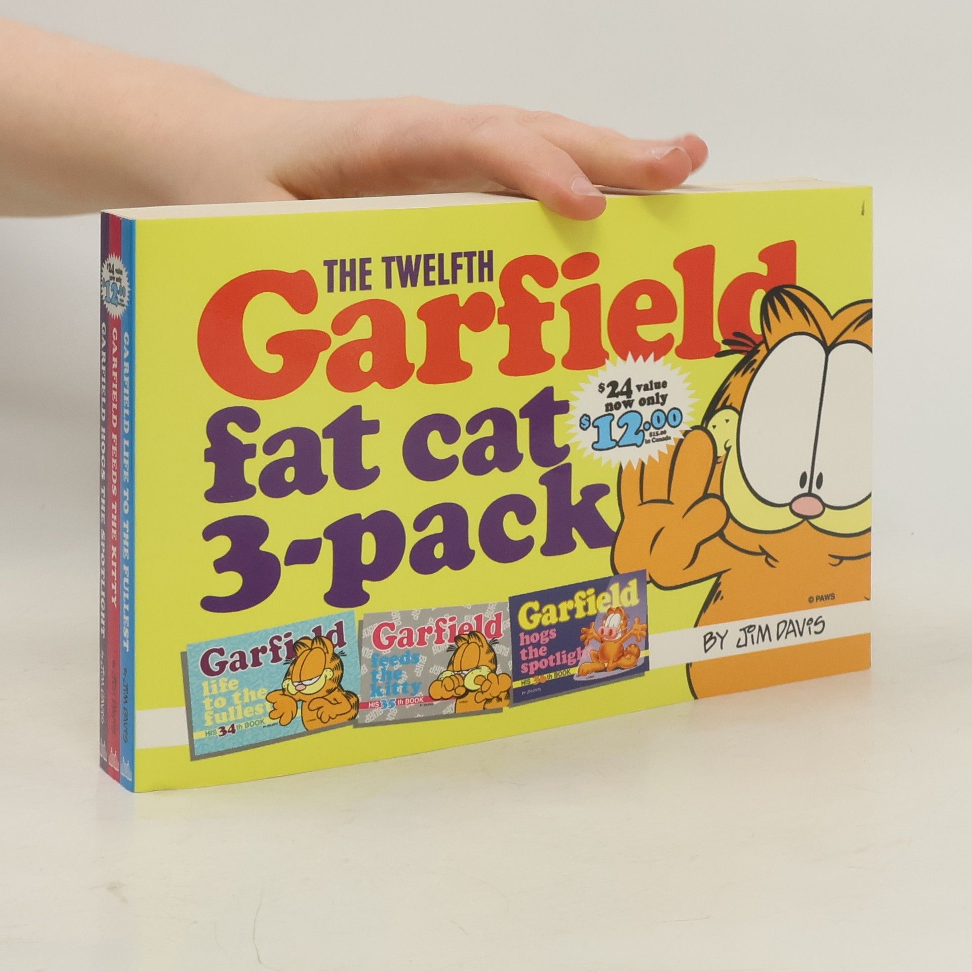 Jim Davis The Eleventh Garfield Fat Cat 3-pack