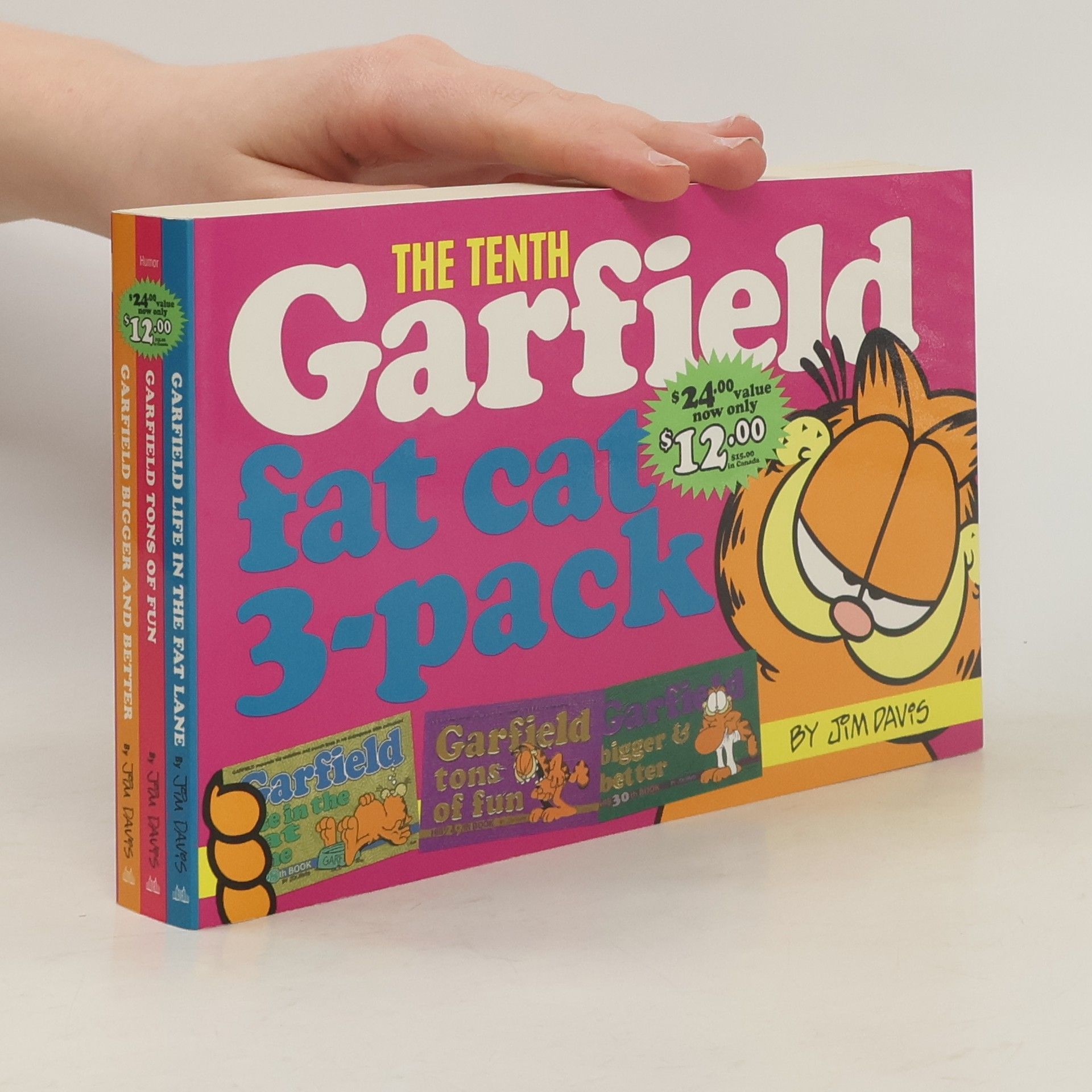Jim Davis The Tenth Garfield Fat Cat 3-pack