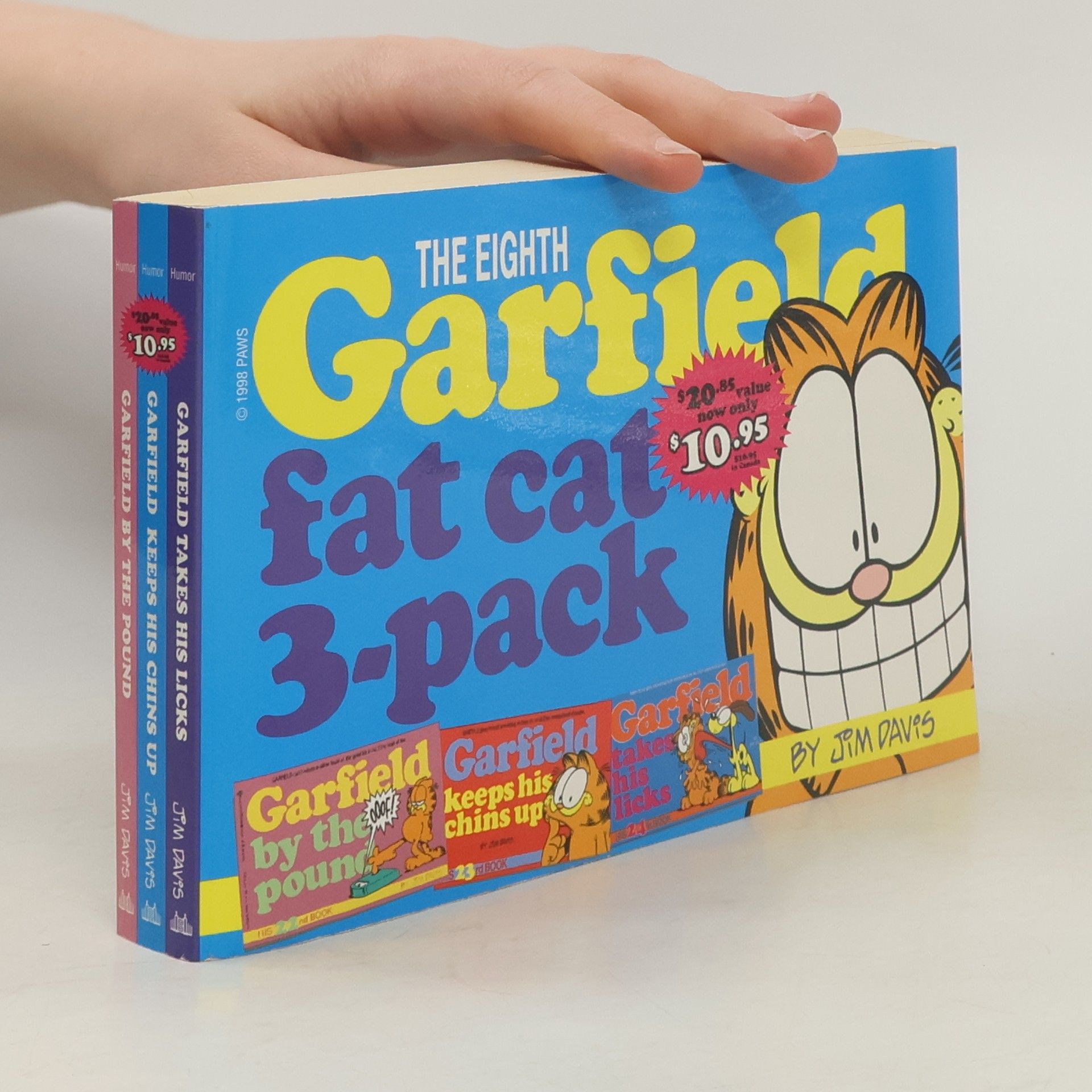 Jim Davis The Eighth Garfield Fat Cat 3-pack