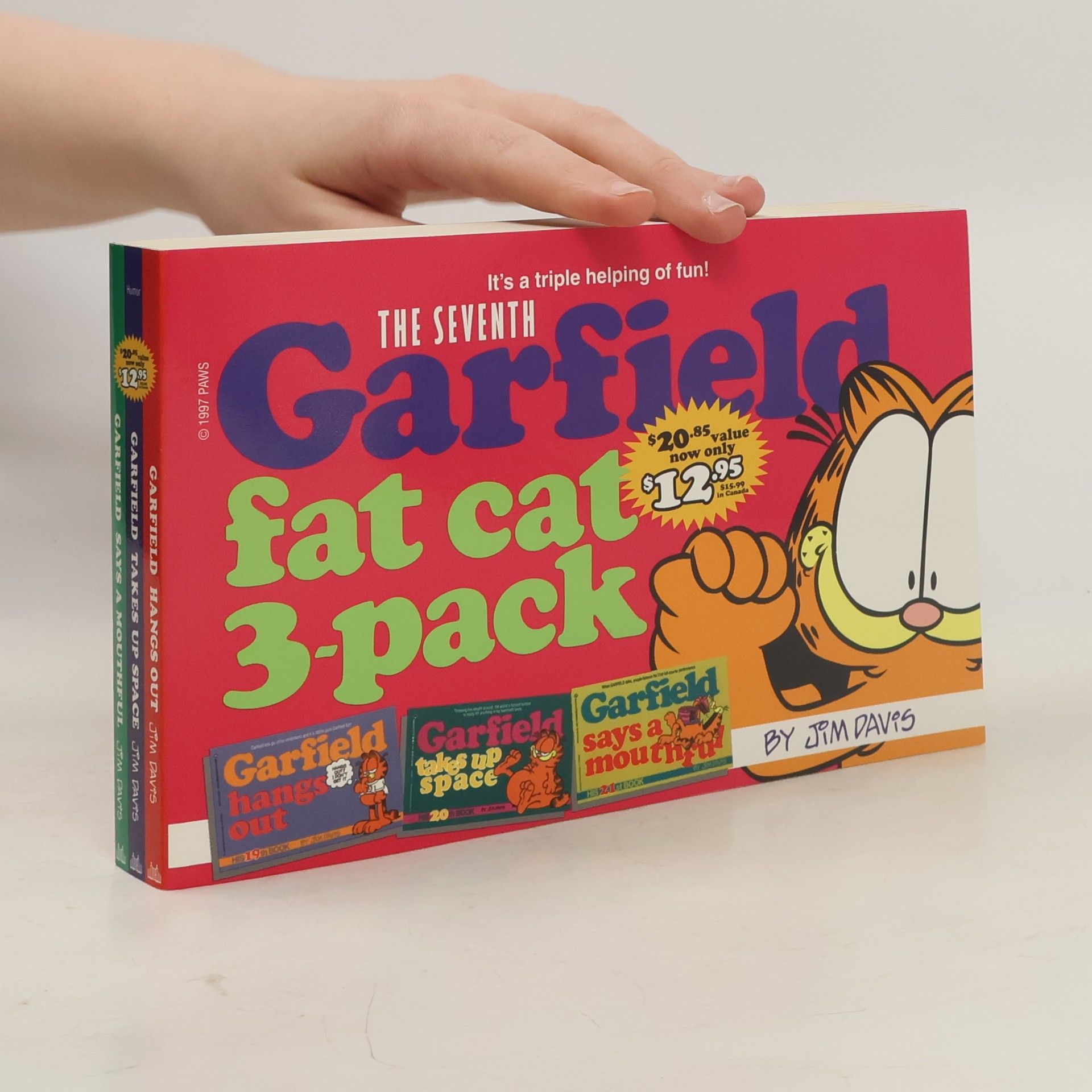 James H. Davis The Seventh Garfield Fat Cat 3-pack