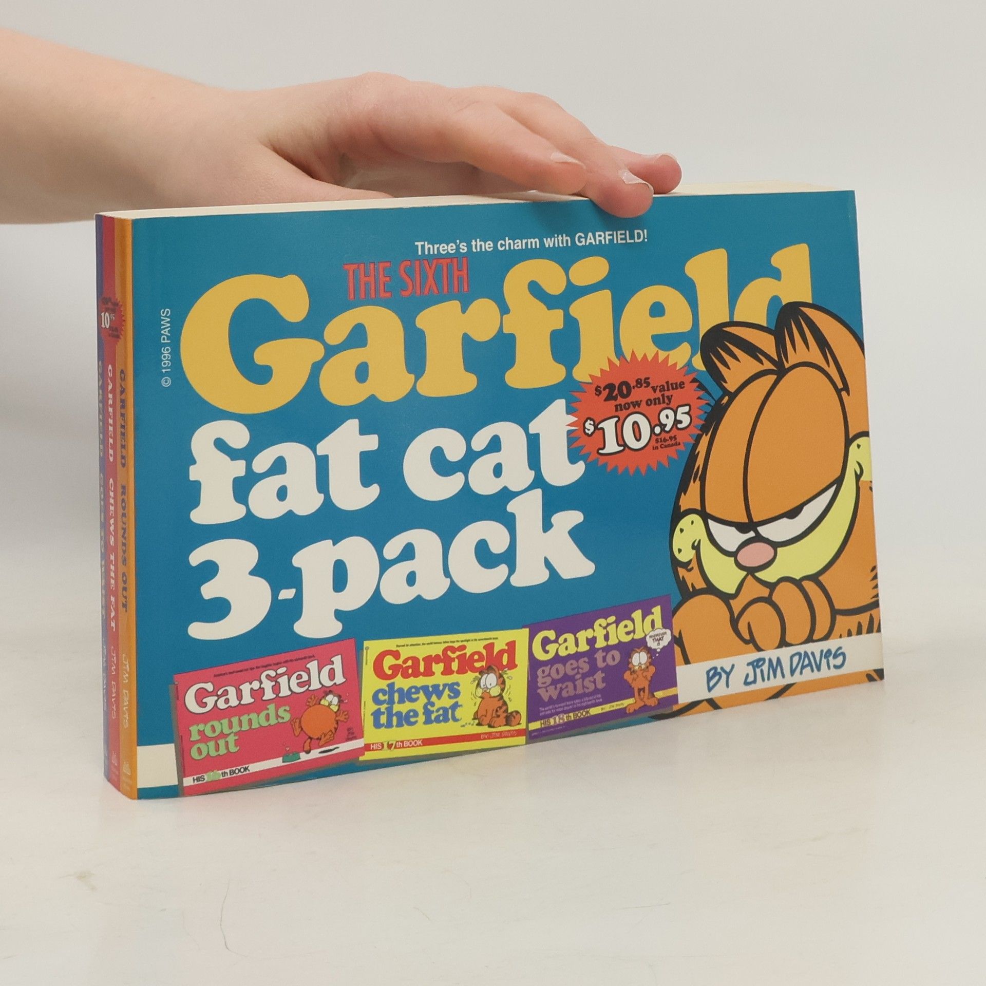 Jim Davis The Sixth Garfield Fat Cat 3-pack