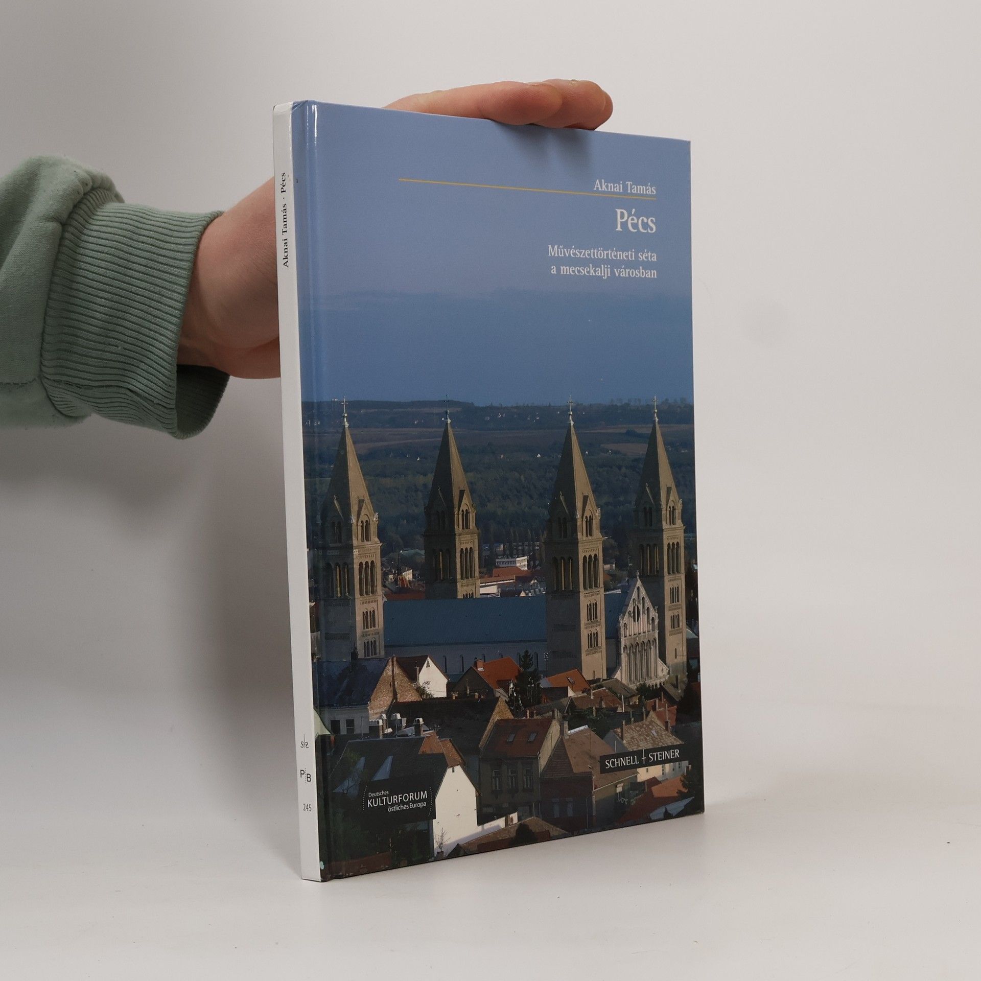 Tamás Aknai Große Kunstführer - 245: Fünfkirchen-Pécs: Művészettörténeti séta a mecsekalji városban