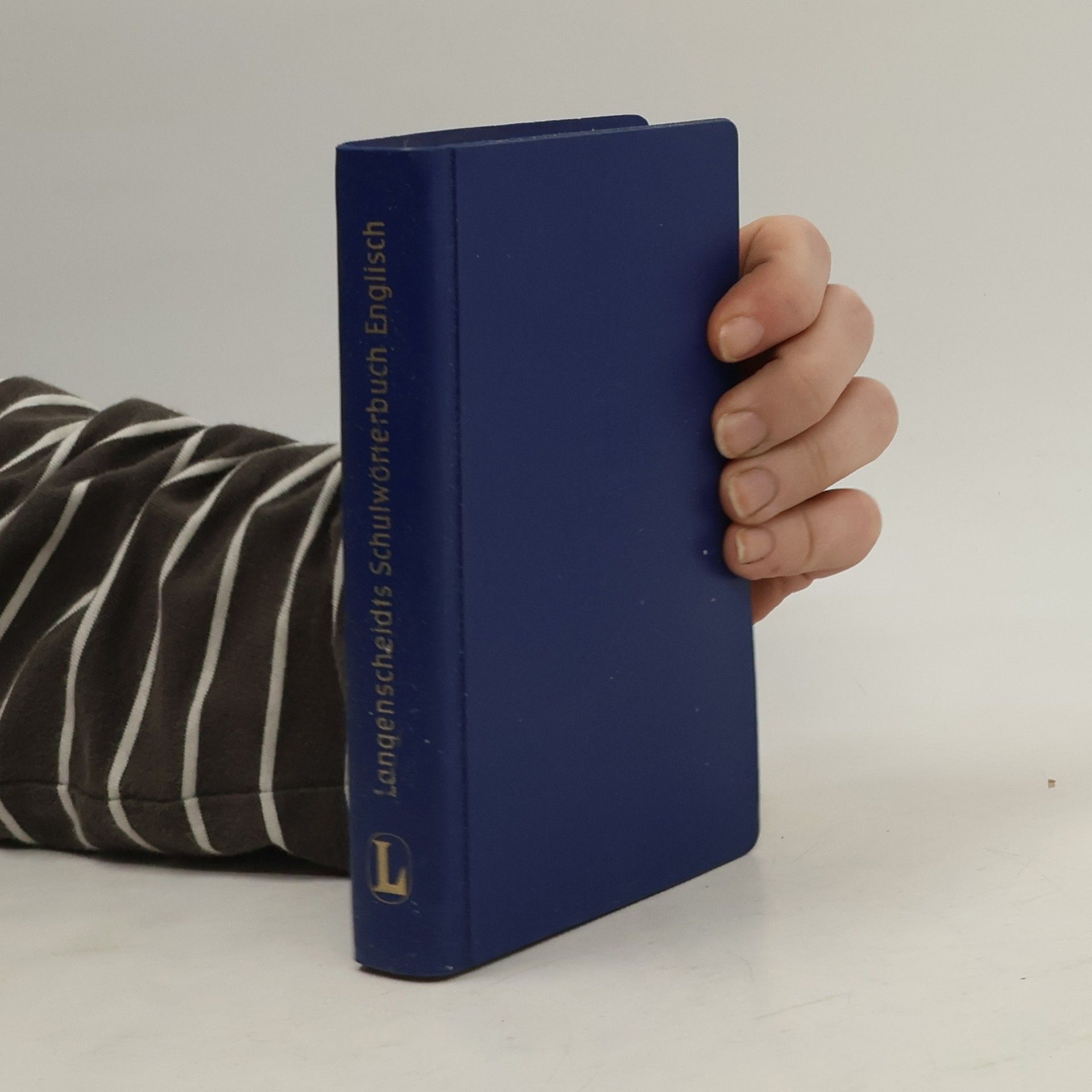 Langenscheidt Schulwörterbuch Englisch