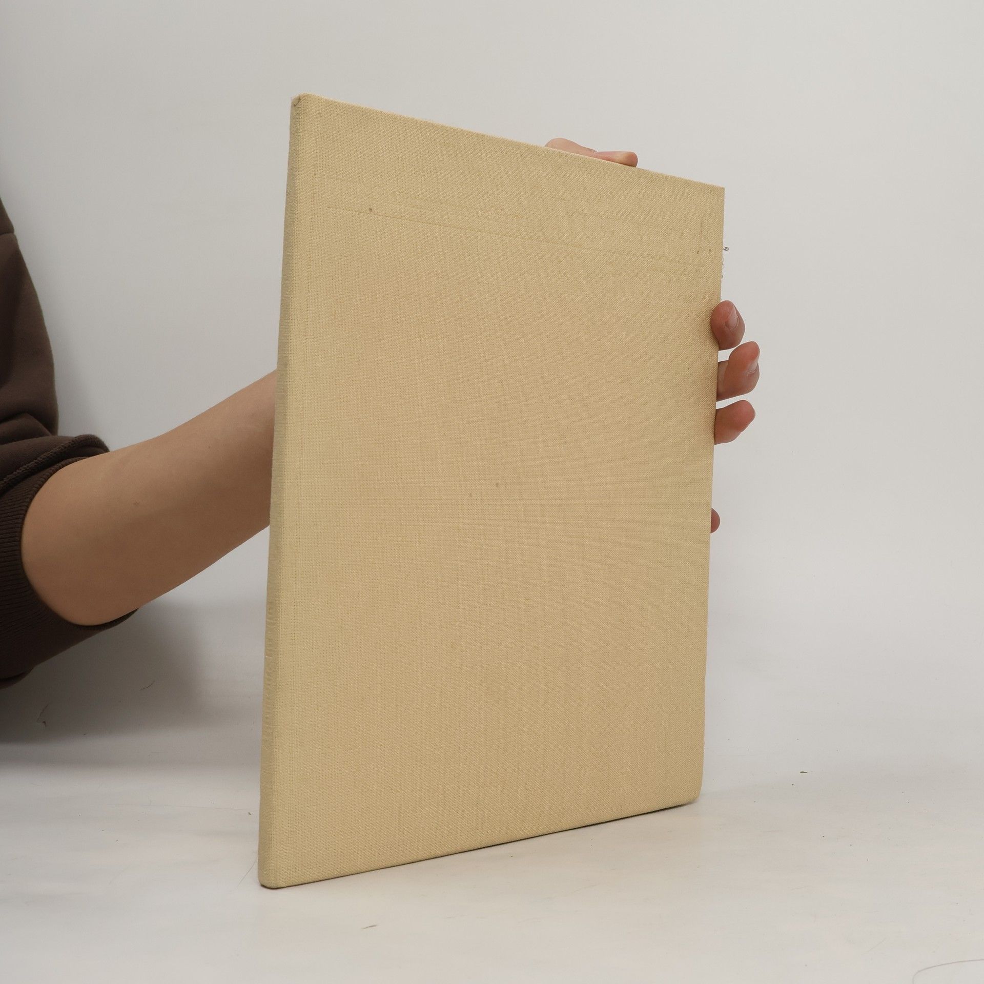 Various authors Argumente im Bild