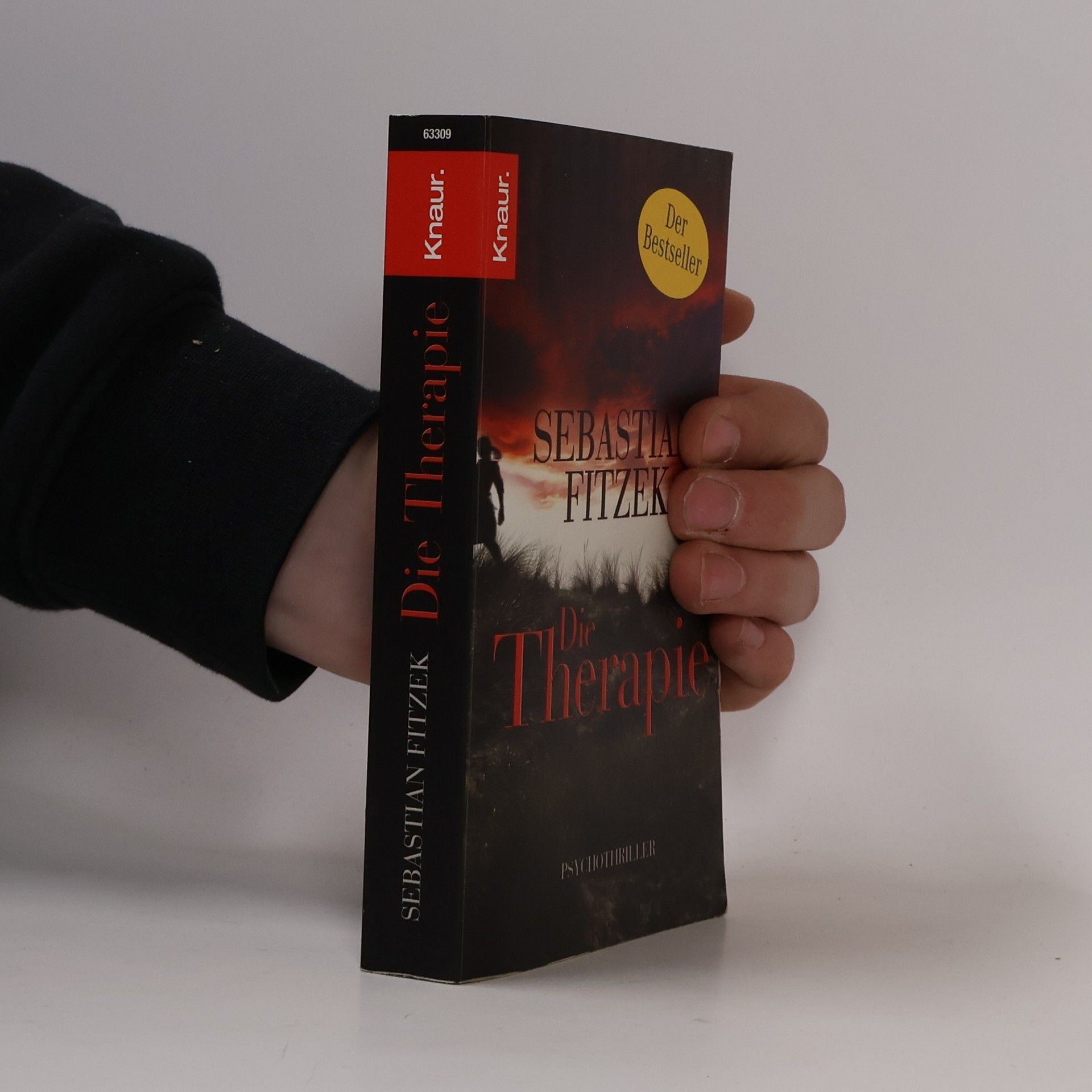 Sebastian Fitzek Die Therapie