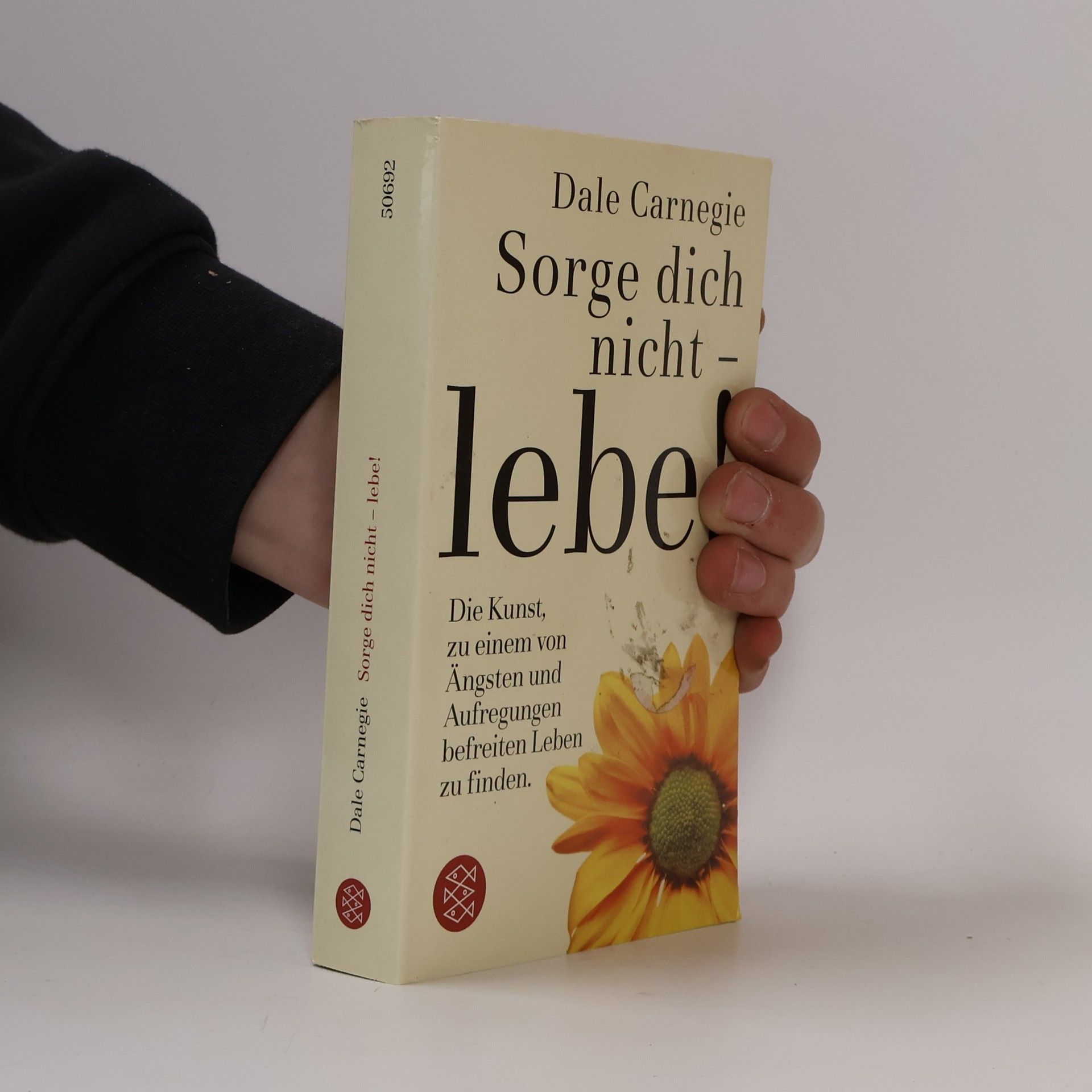 Dale Carnegie Sorge dich nicht - lebe!