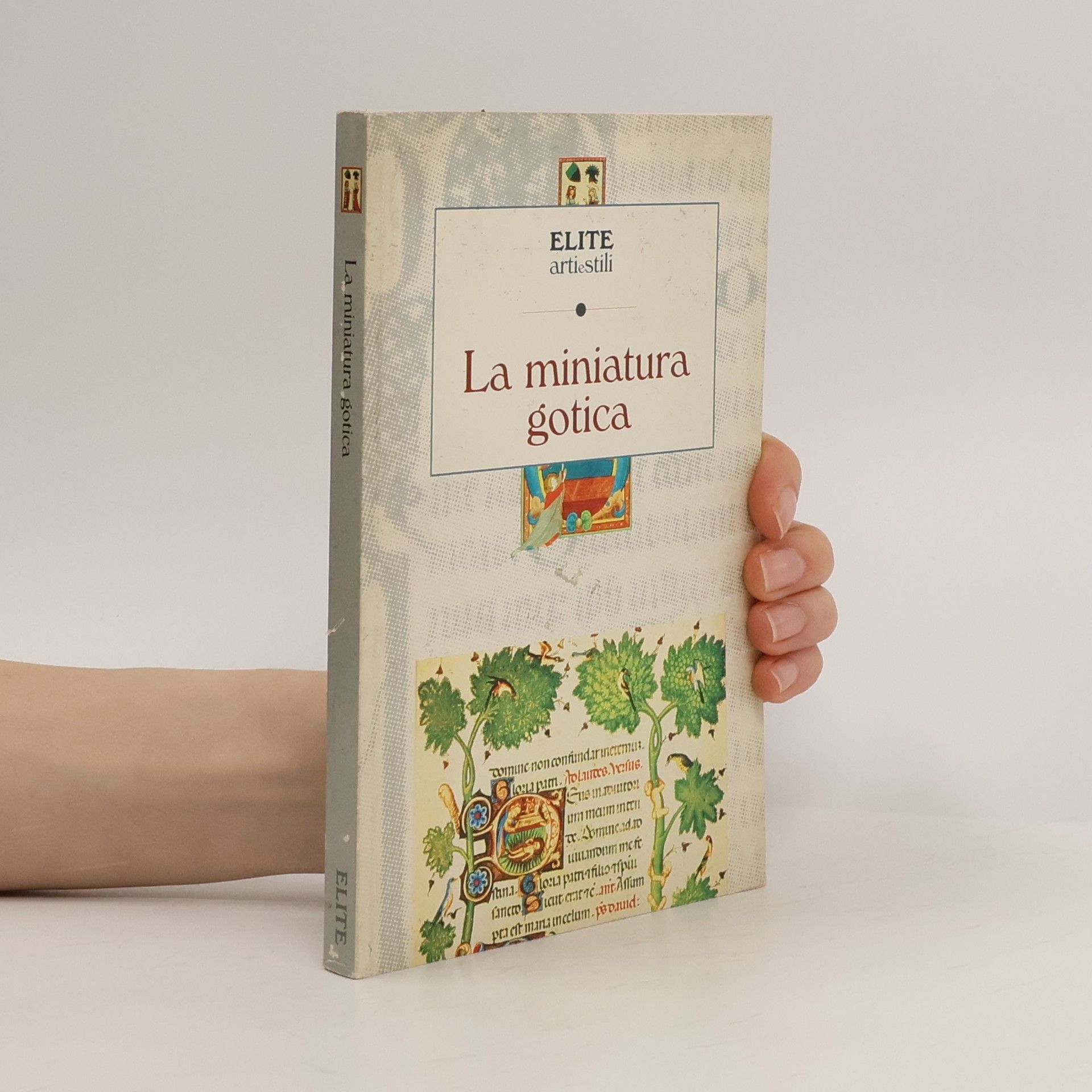 Emma Priani Elite. Arti e stili: La miniatura gotica