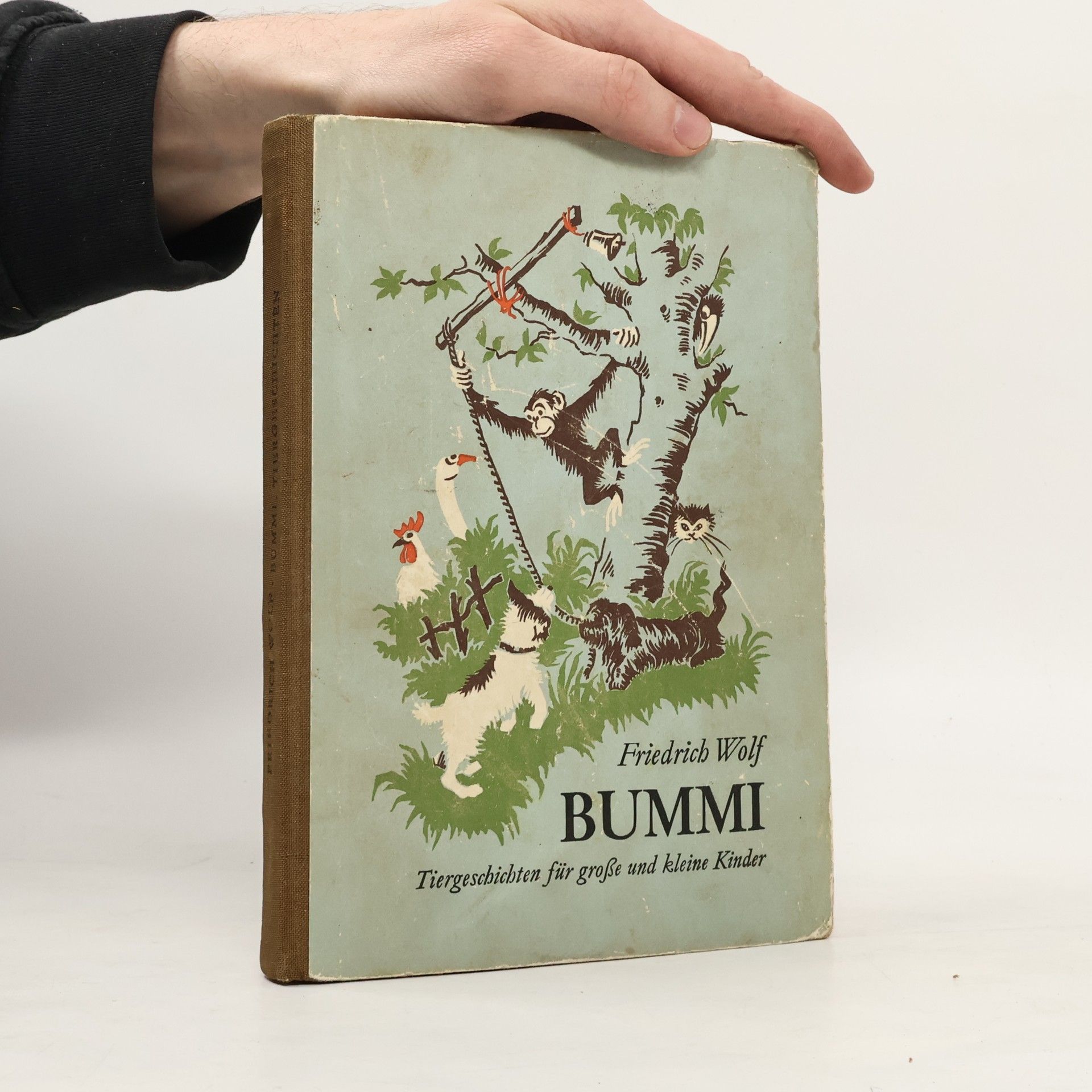 Friederich Wolf Bummi