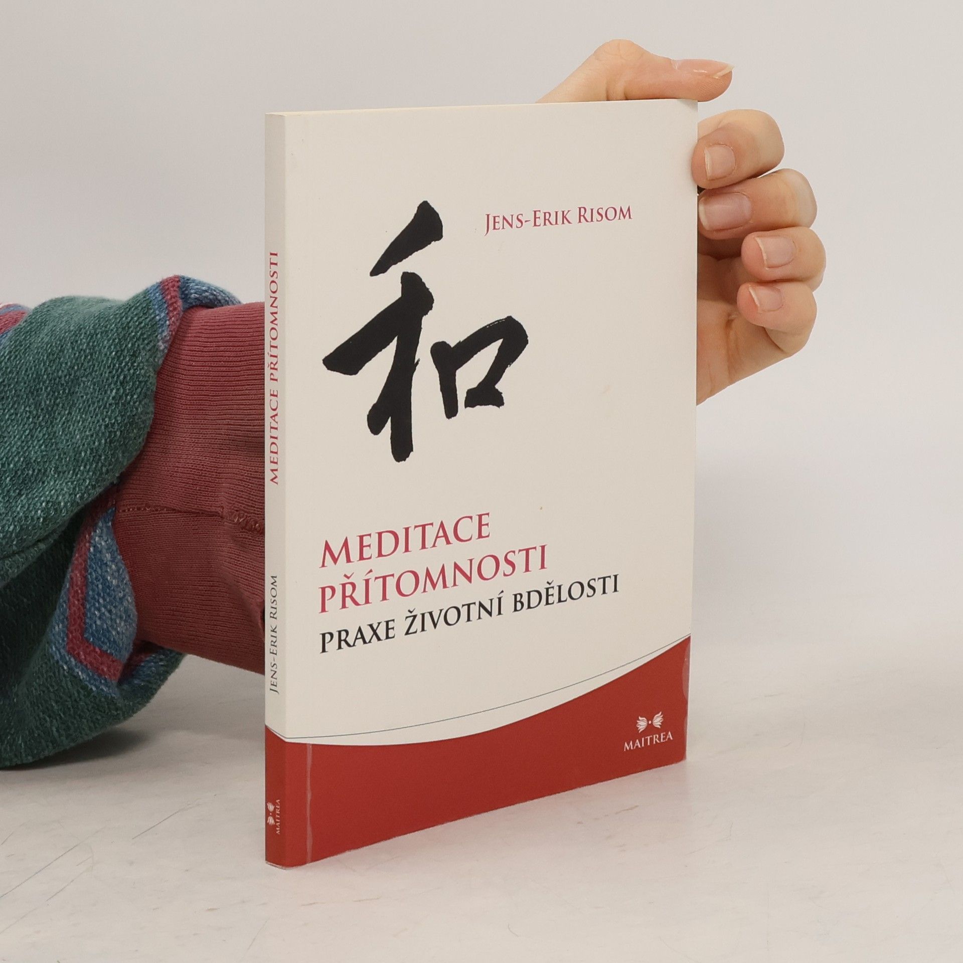 JensErik Risom Meditace přítomnosti