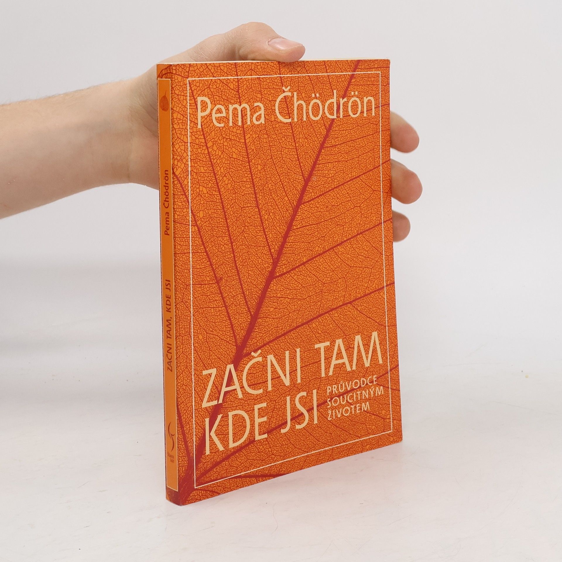 Pema Chödrön Začni tam, kde jsi: Průvodce soucitným životem