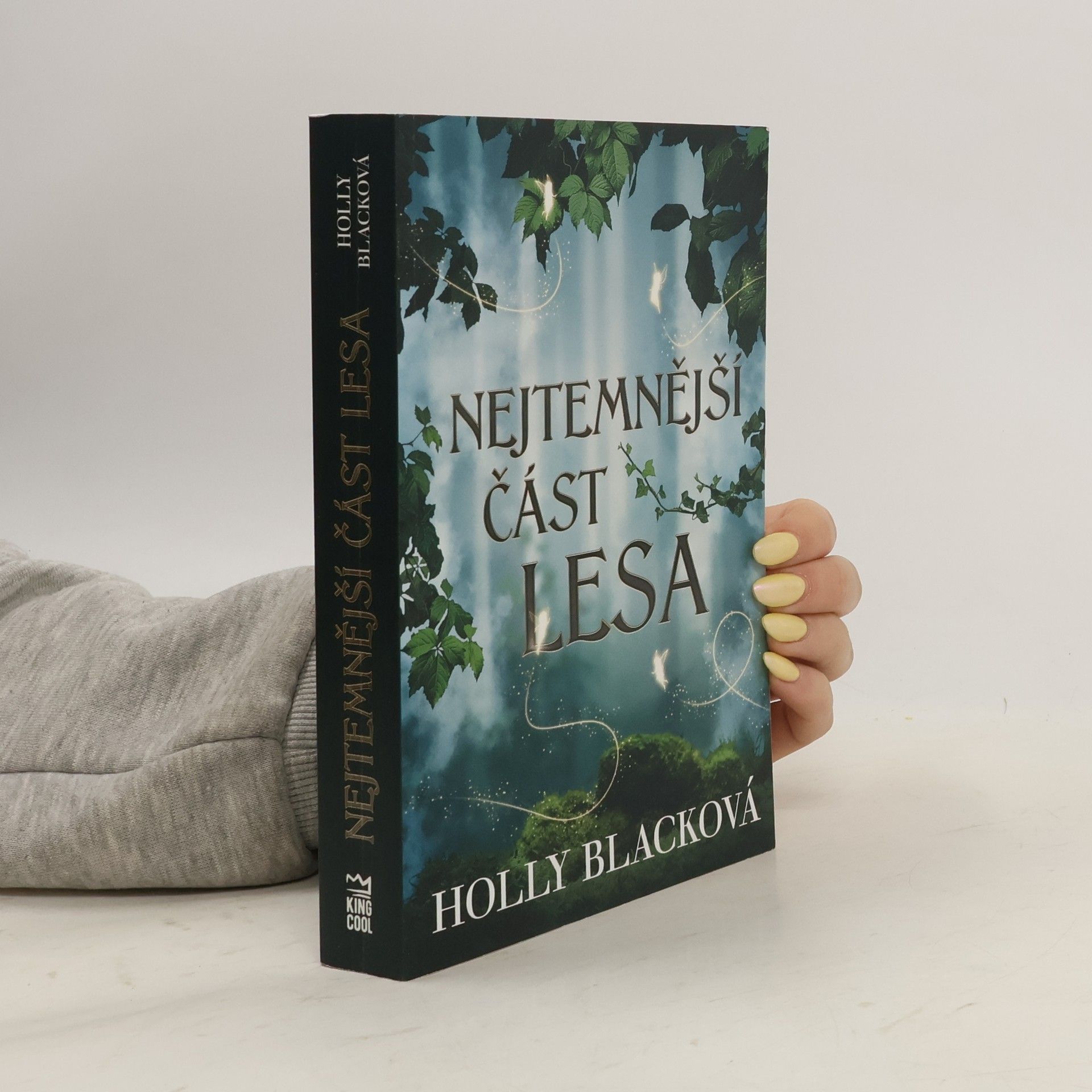 Holly Black Nejtemnější část lesa