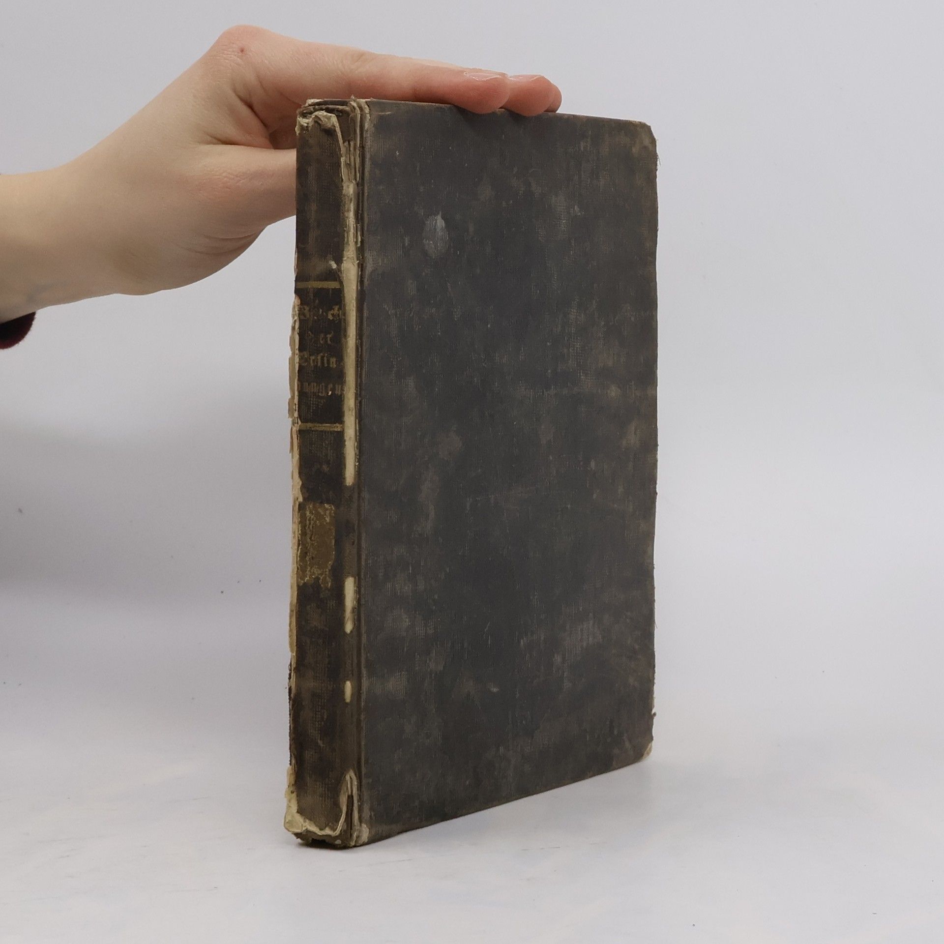 Otto Spamer Malerische Feierstunden. Erster Band