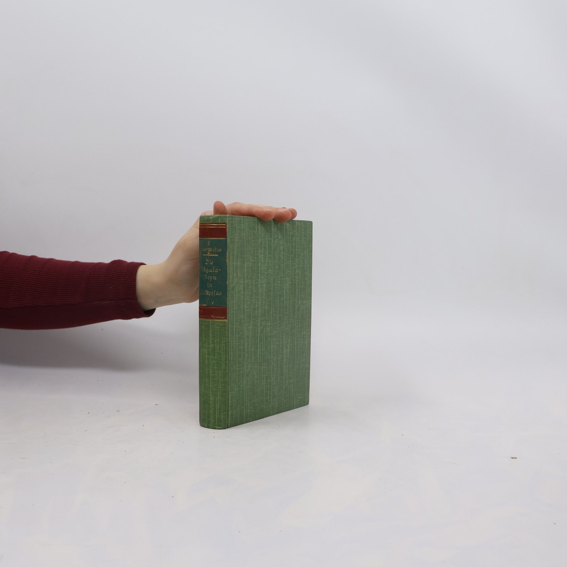 Friedrich Gerstäcker Die Regulatoren in Arkansas