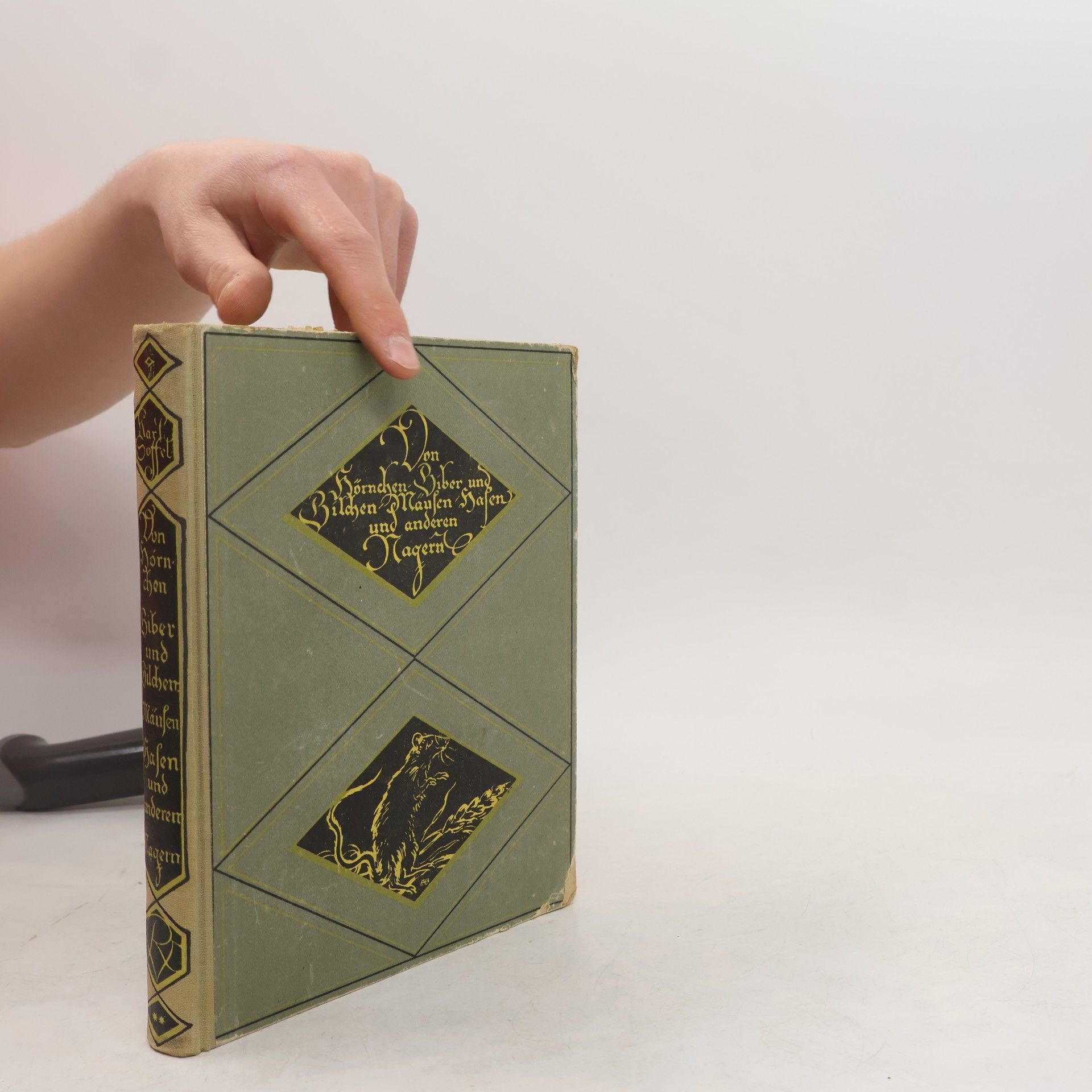 Hermann Meerwarth Von Hörnchen, Biber und Bilchen, Mäusen, Hasen und anderen Nagern