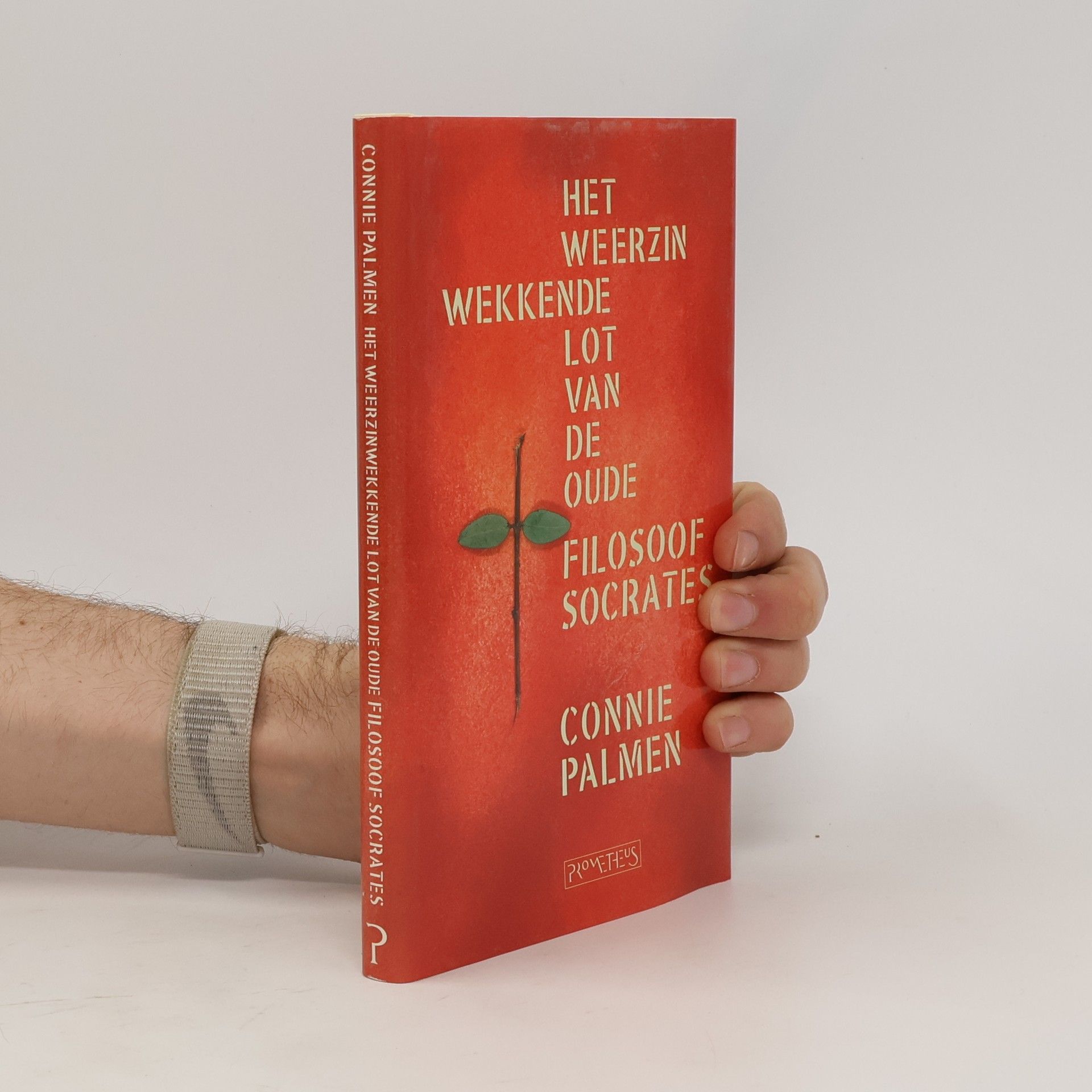 Connie Palmen Het weerzinwekkende lot van de oude filosoof Socrates