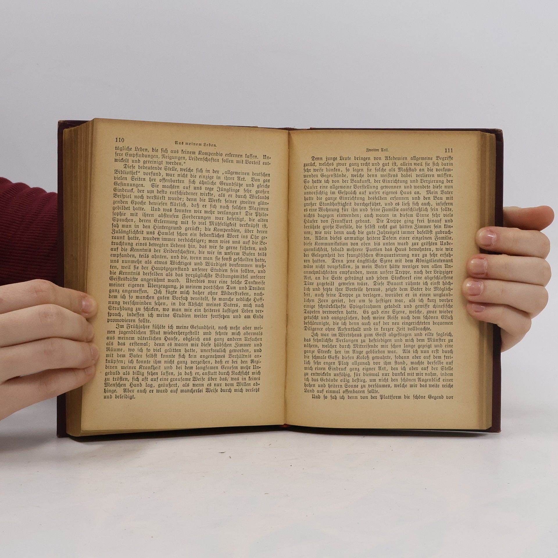 Johann Wolfgang von Goethe Goethes Werke in sechzehn Bänden 13-16