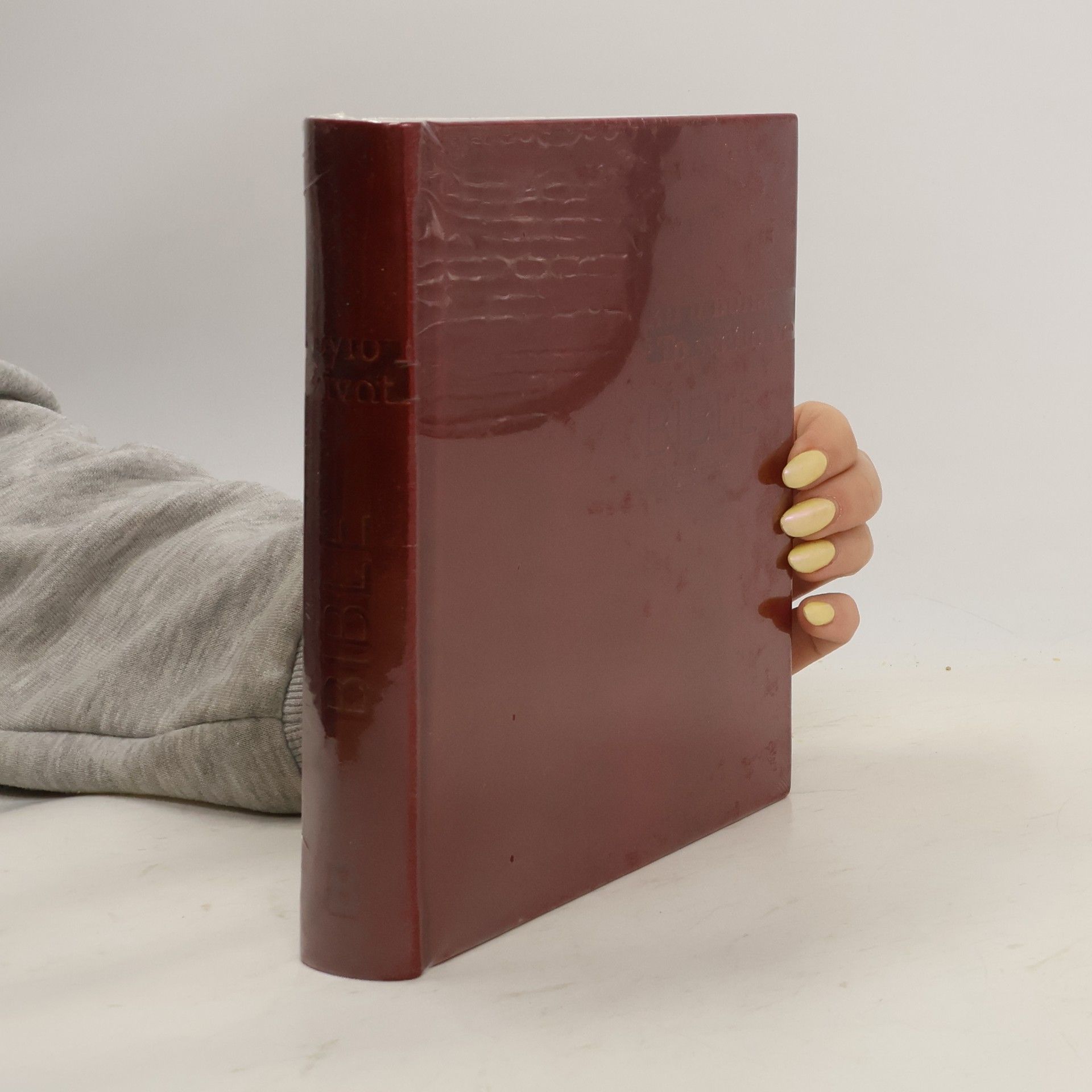 Various authors Bible