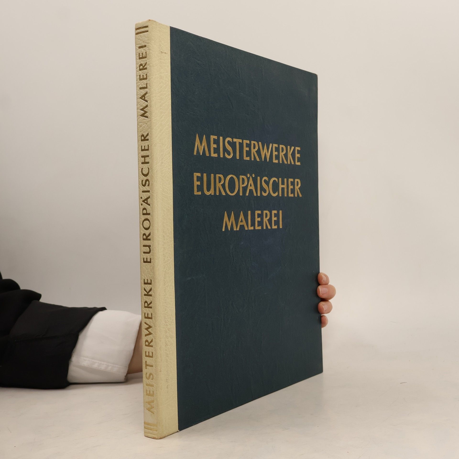 Kolektiv autorů Meisterwerke europäischer Malerei