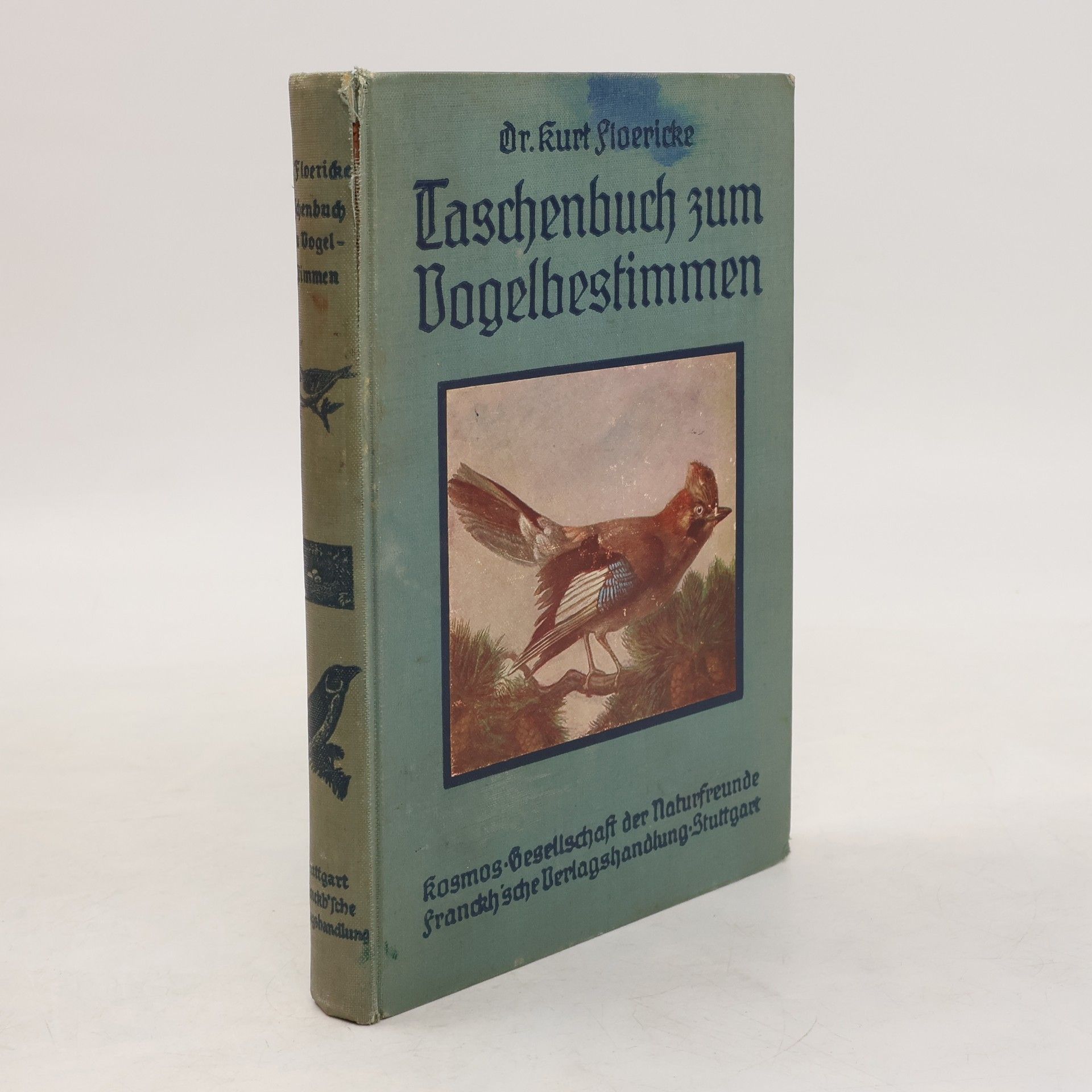Kurt Floericke Taschenbuch zum Vogelbestimmen