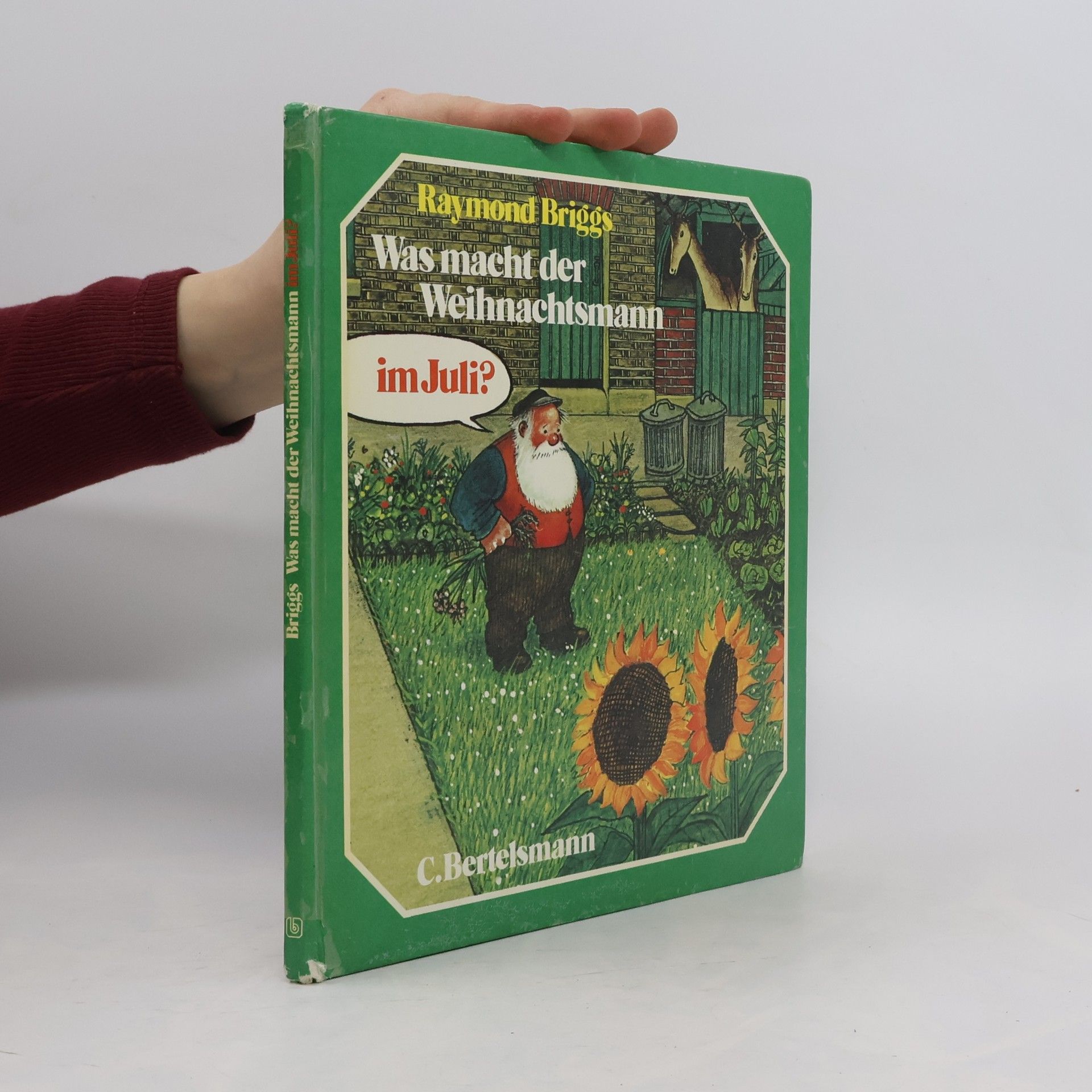 Raymond Briggs Was macht der Weihnachtsmann im Juli?