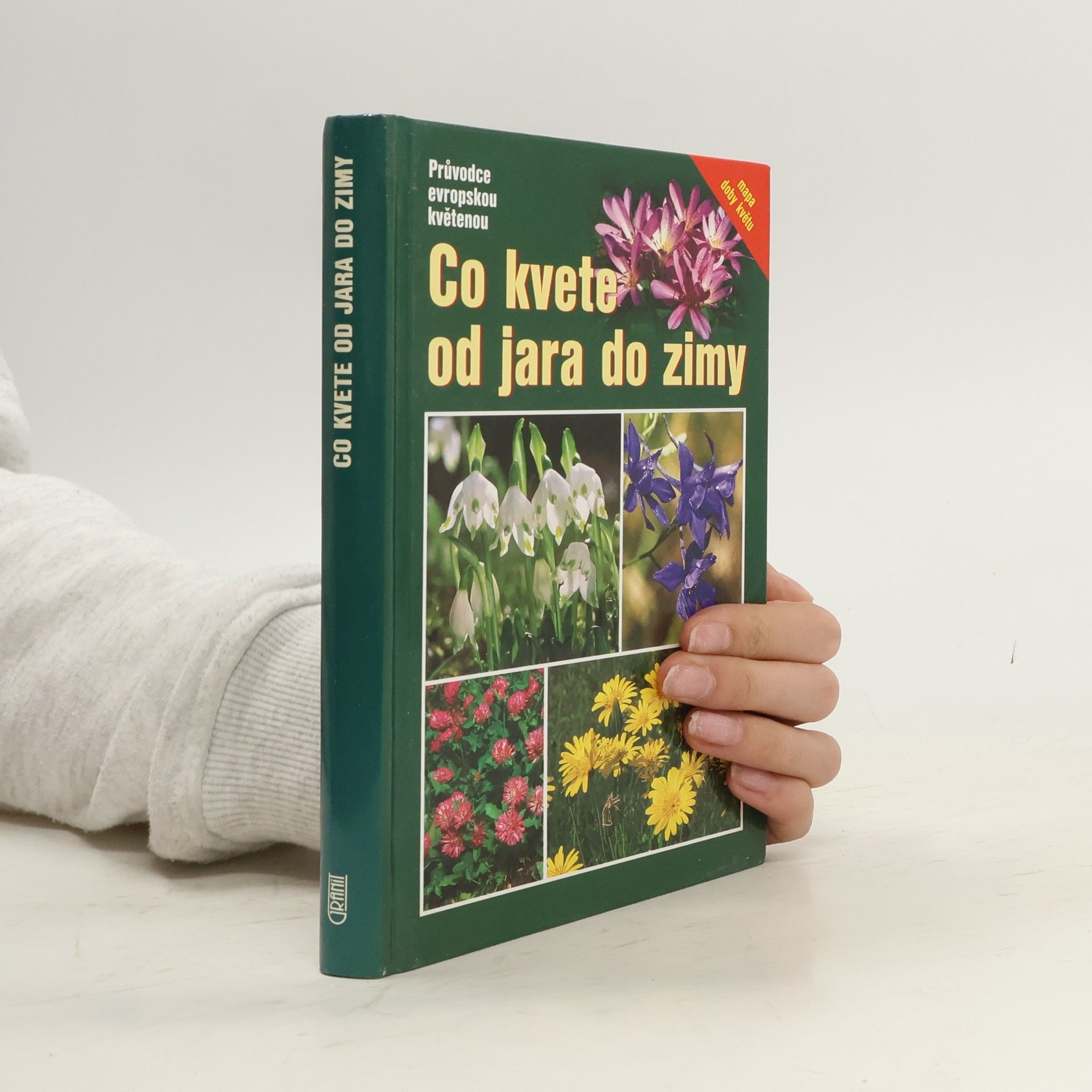 Co kvete od jara do zimy