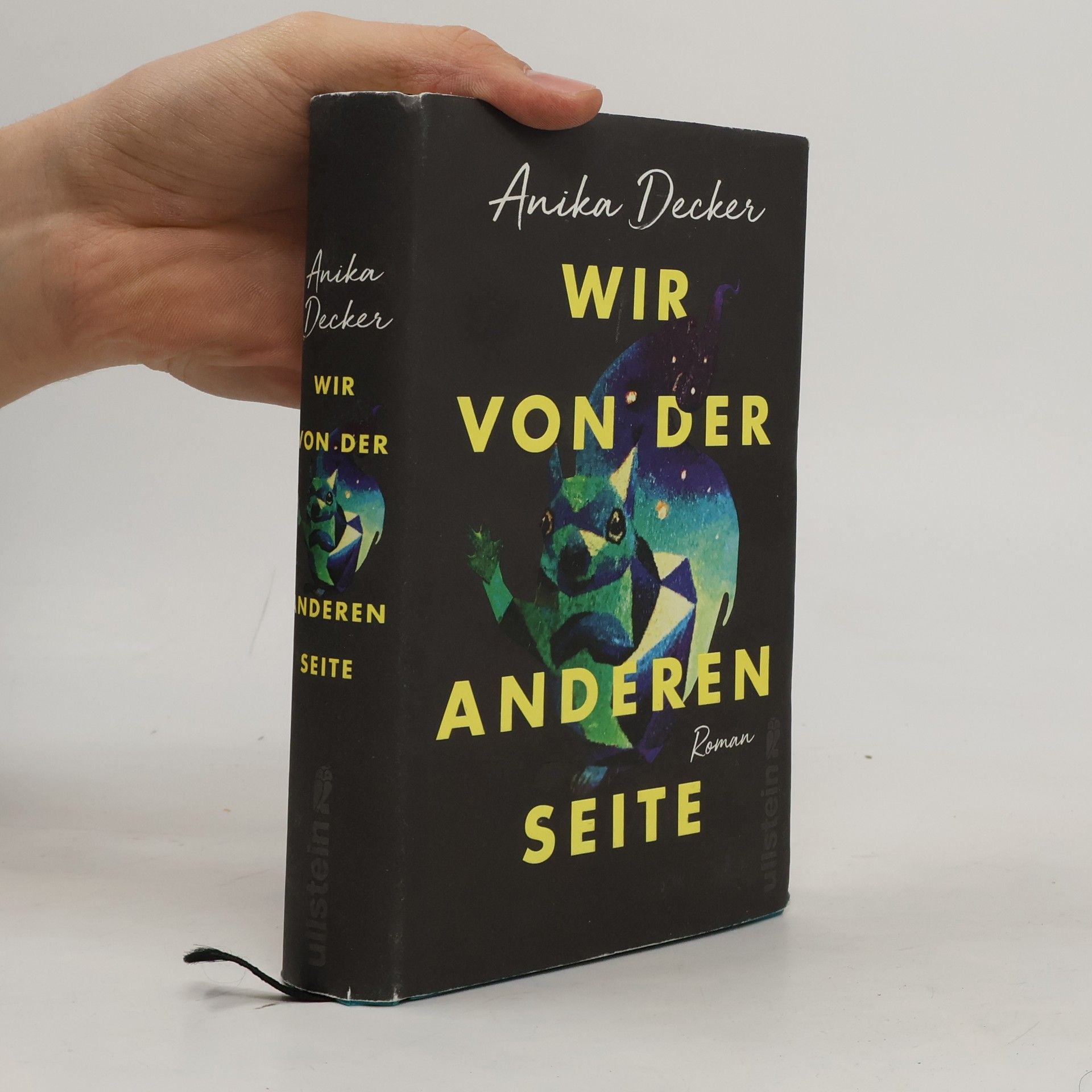 Anika Decker Wir von der anderen Seite