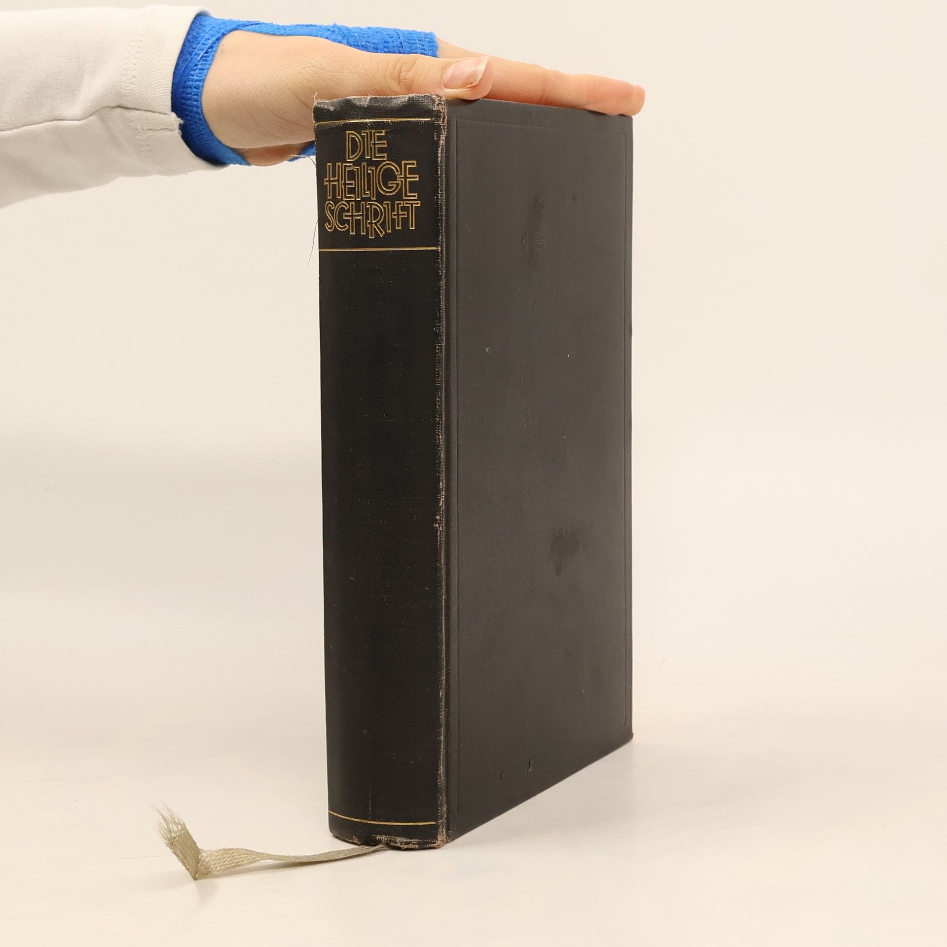 Martin Luther Die Bibel oder die ganze Heilige Schrift des Alten und Neuen Testaments