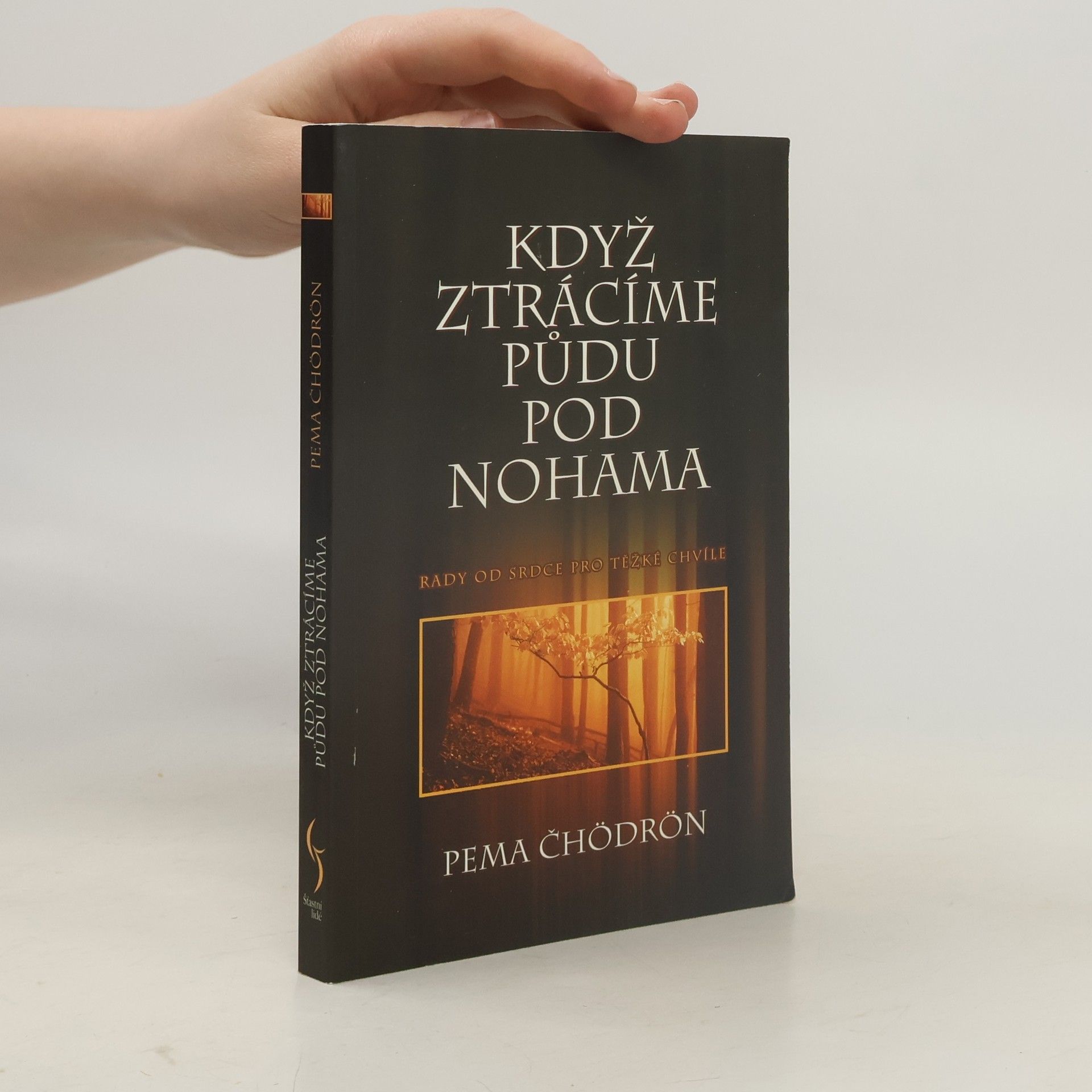 Pema Chödrön Když ztrácíme půdu pod nohama