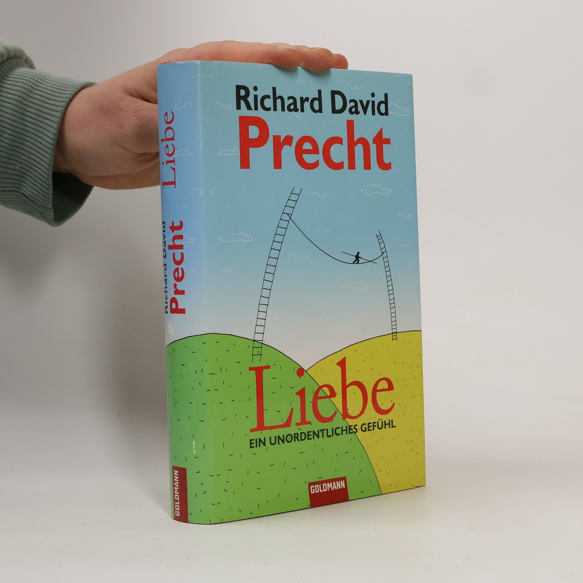 Richard David Precht Liebe ein Unordentliches Gefühl