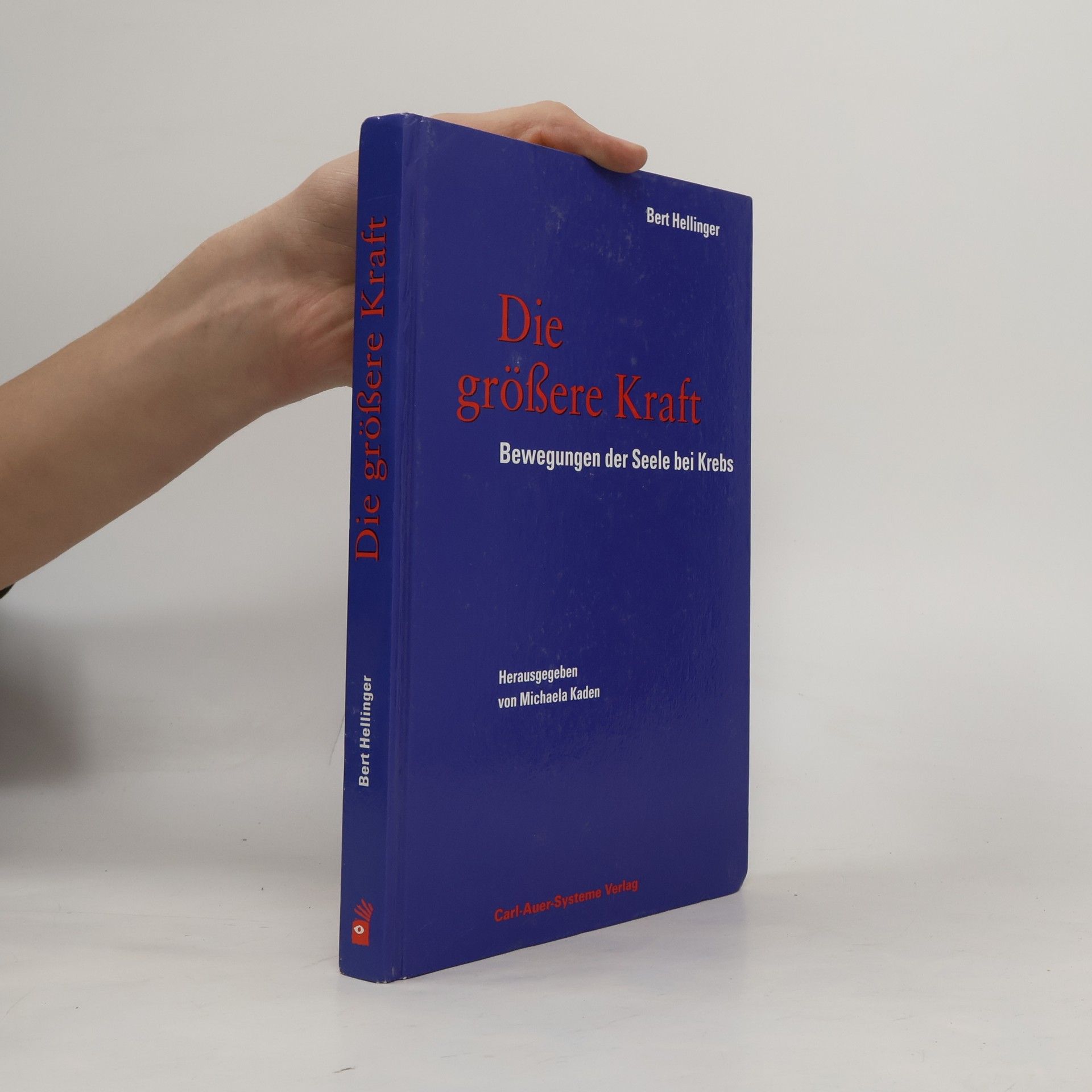 Bert Hellinger Die größere Kraft