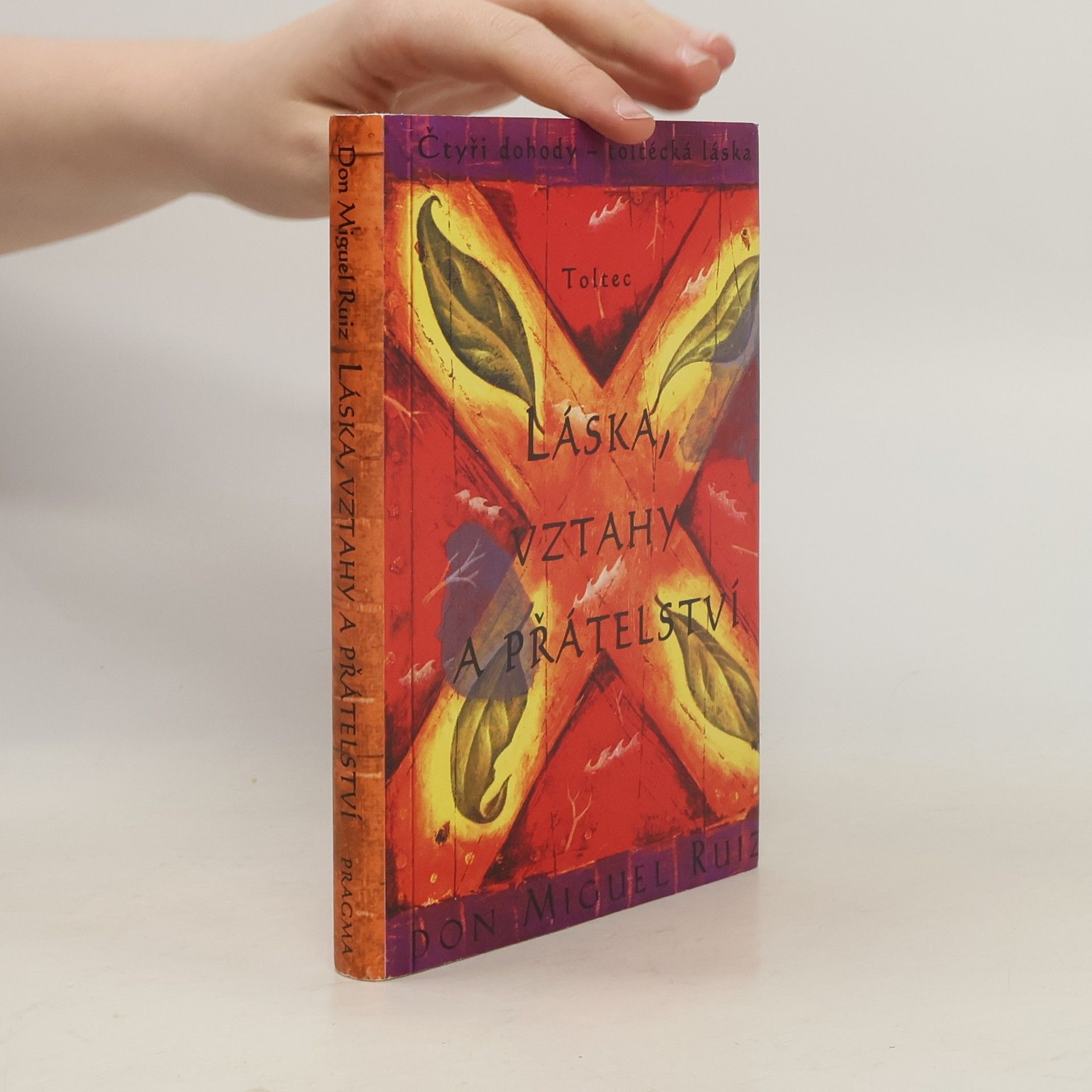 Don Miguel Ruiz Láska, vztahy a přátelství