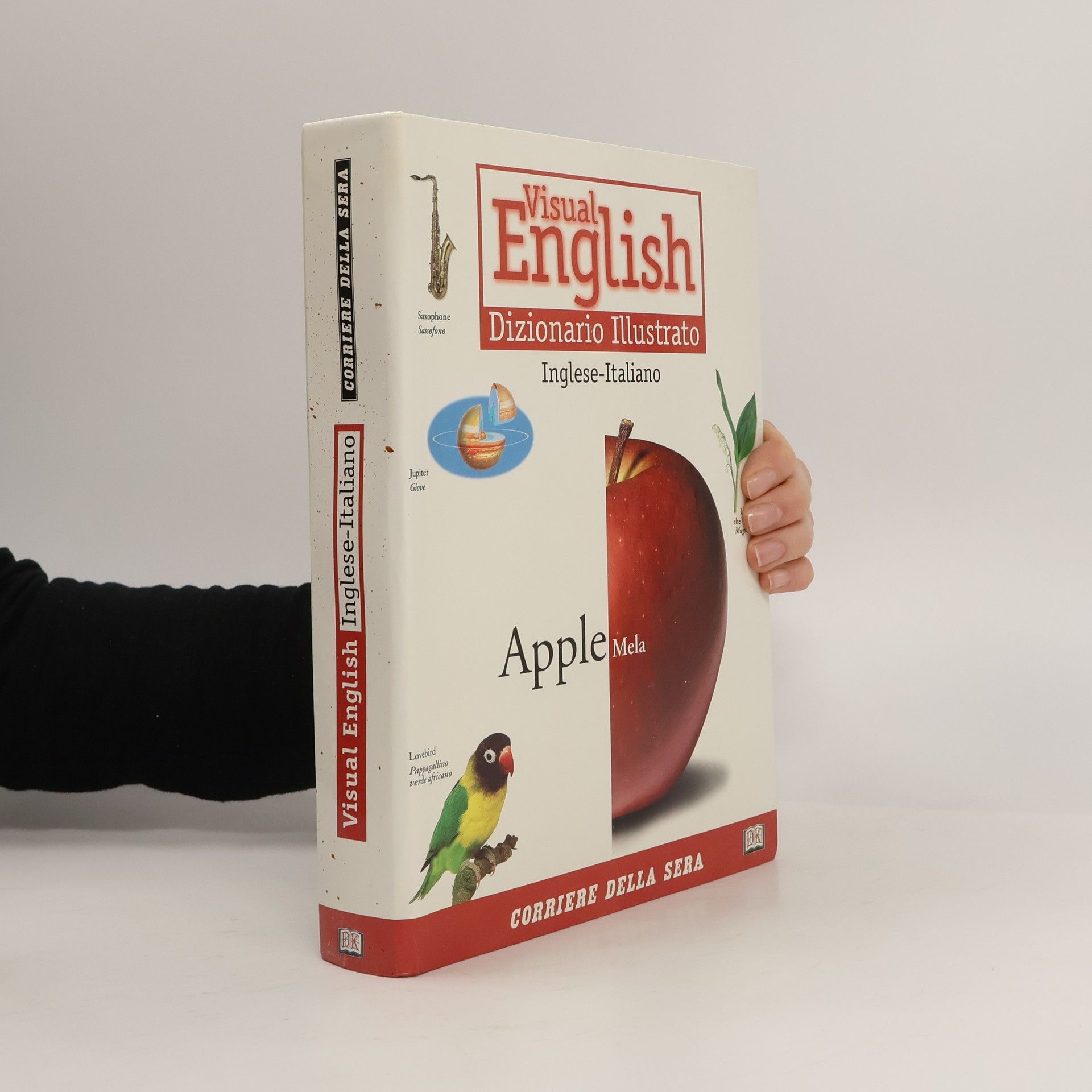 Auteurscollectief Visual English. Dizionario Illustrato. Inglese-Italiano