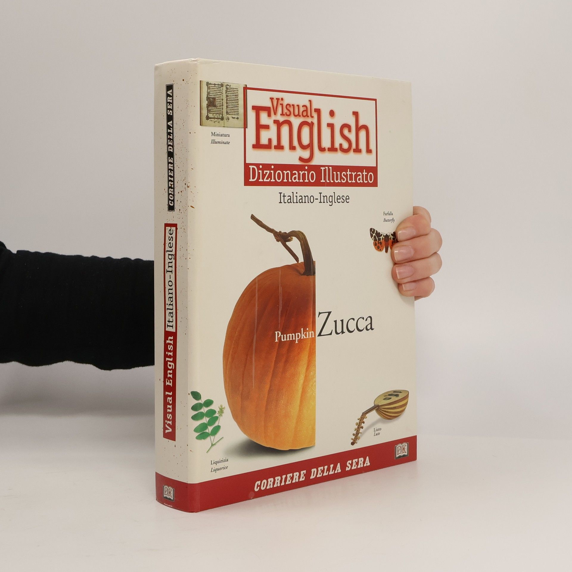 Auteurscollectief Visual English. Dizionario Illustrato. Inglese-Italiano