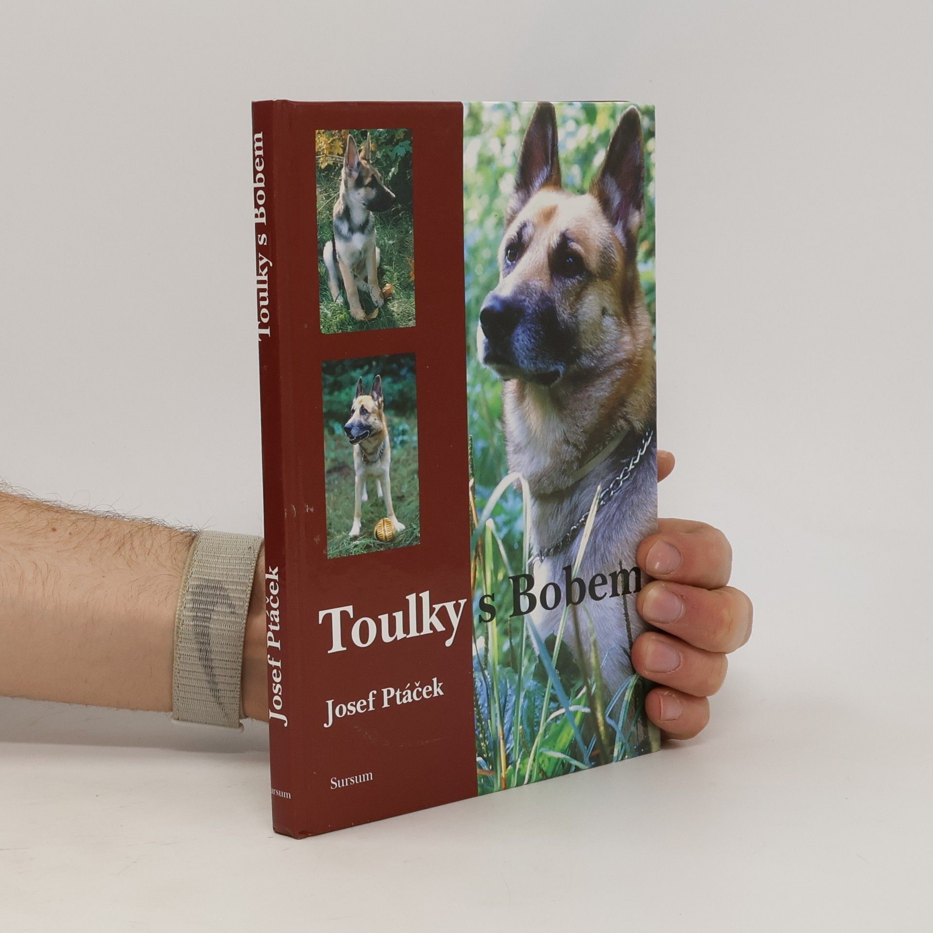 Josef Ptáček Toulky s Bobem