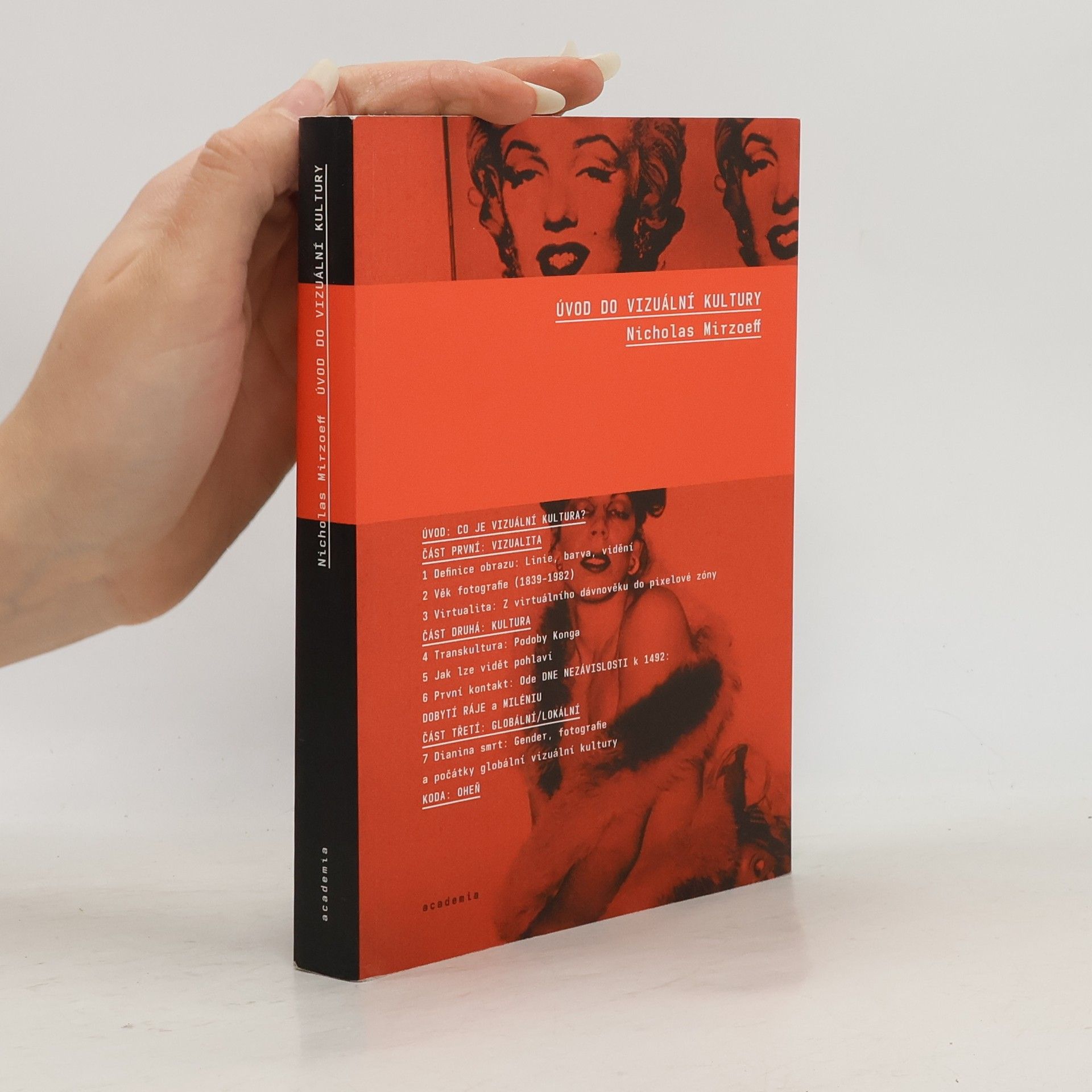 Nicholas Mirzoeff Úvod do vizuální kultury