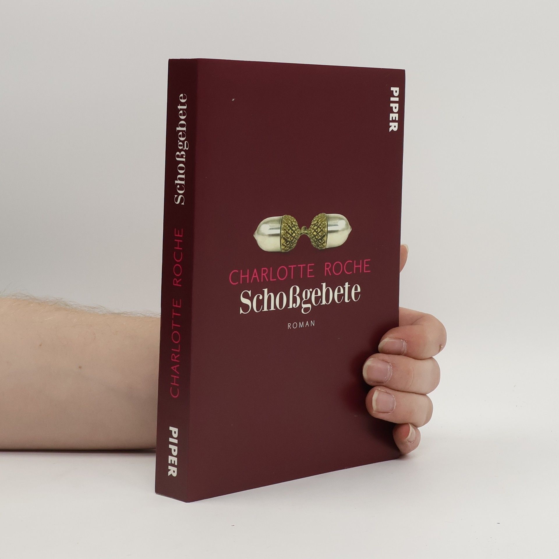 Charlotte Roche Schoßgebete